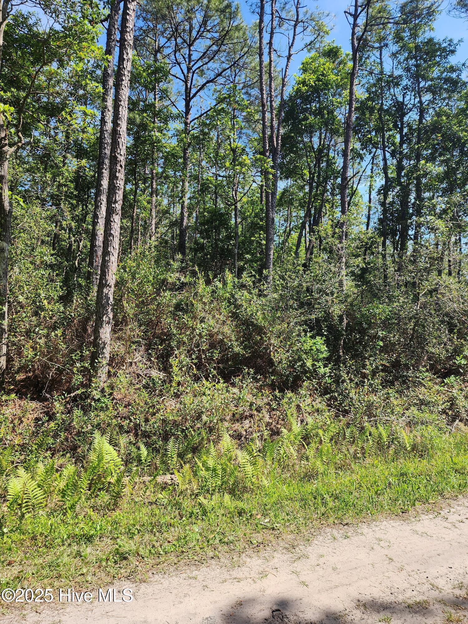 Lot 60 Drake Road Property Photo