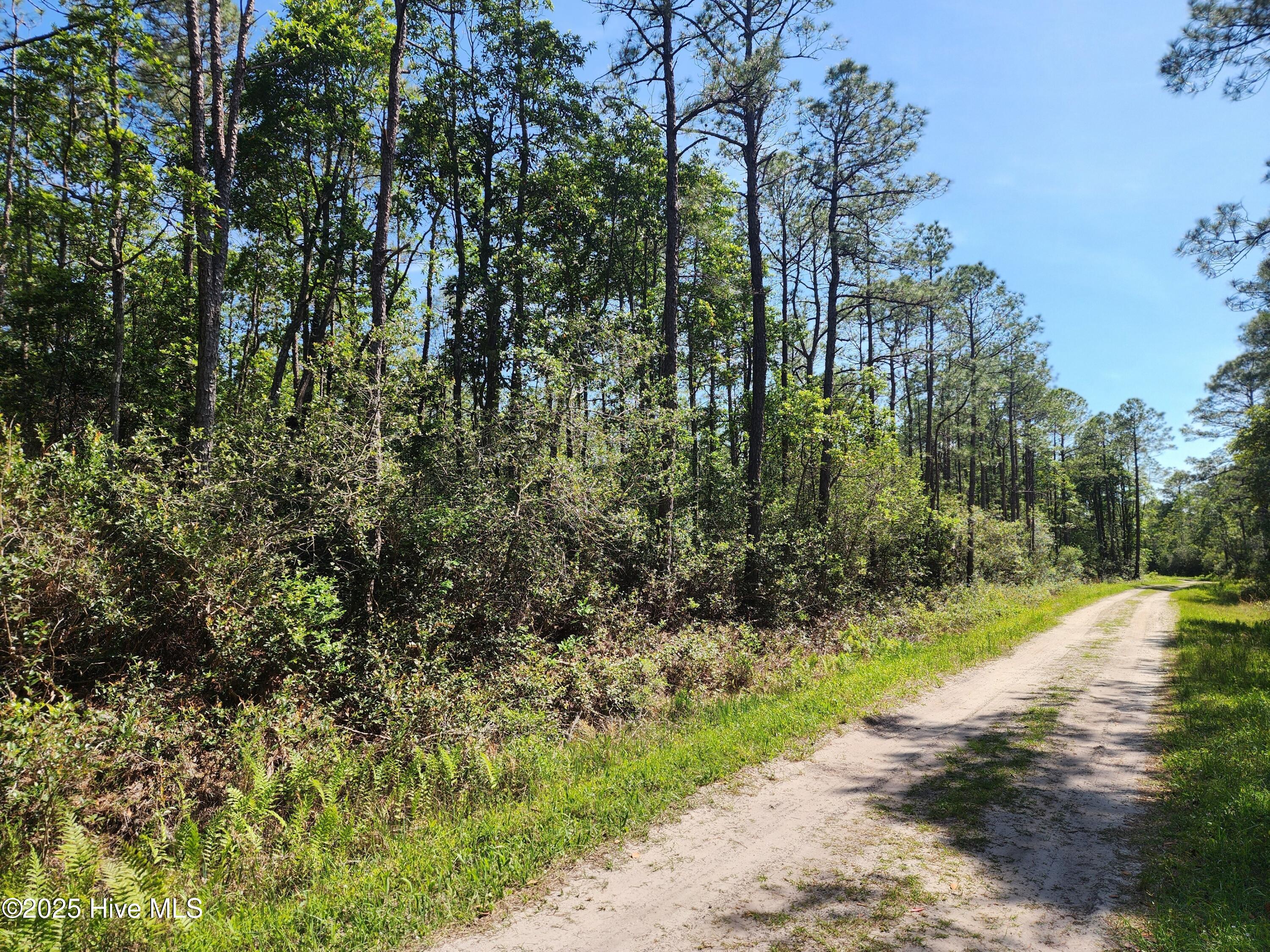 Lot 60 Drake Road Property Photo 2