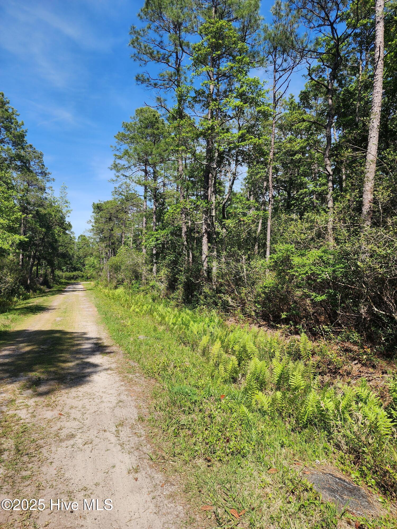 Lot 60 Drake Road Property Photo 3