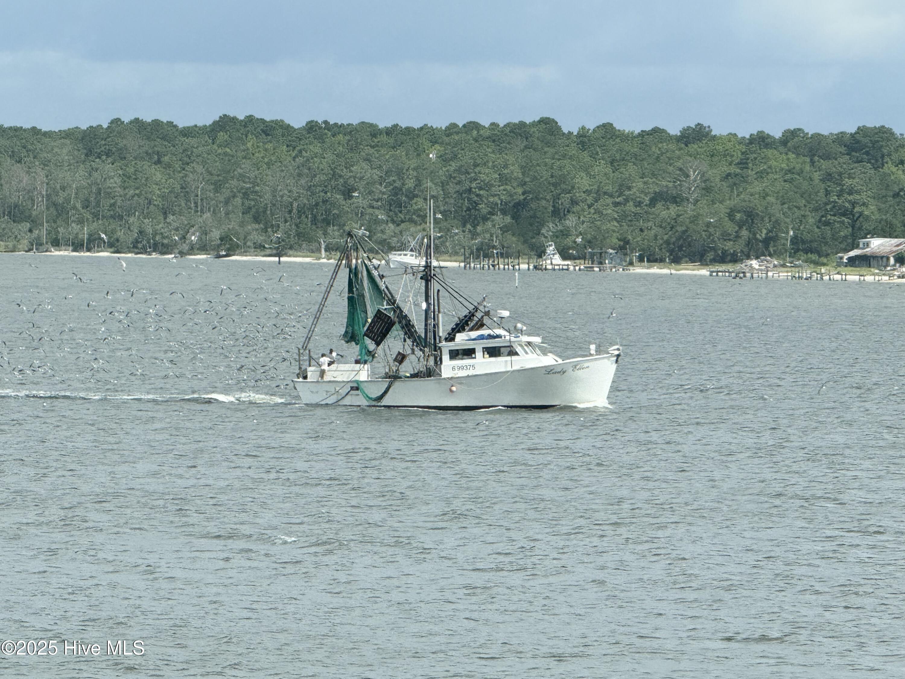 259 Creek Road Property Photo 10