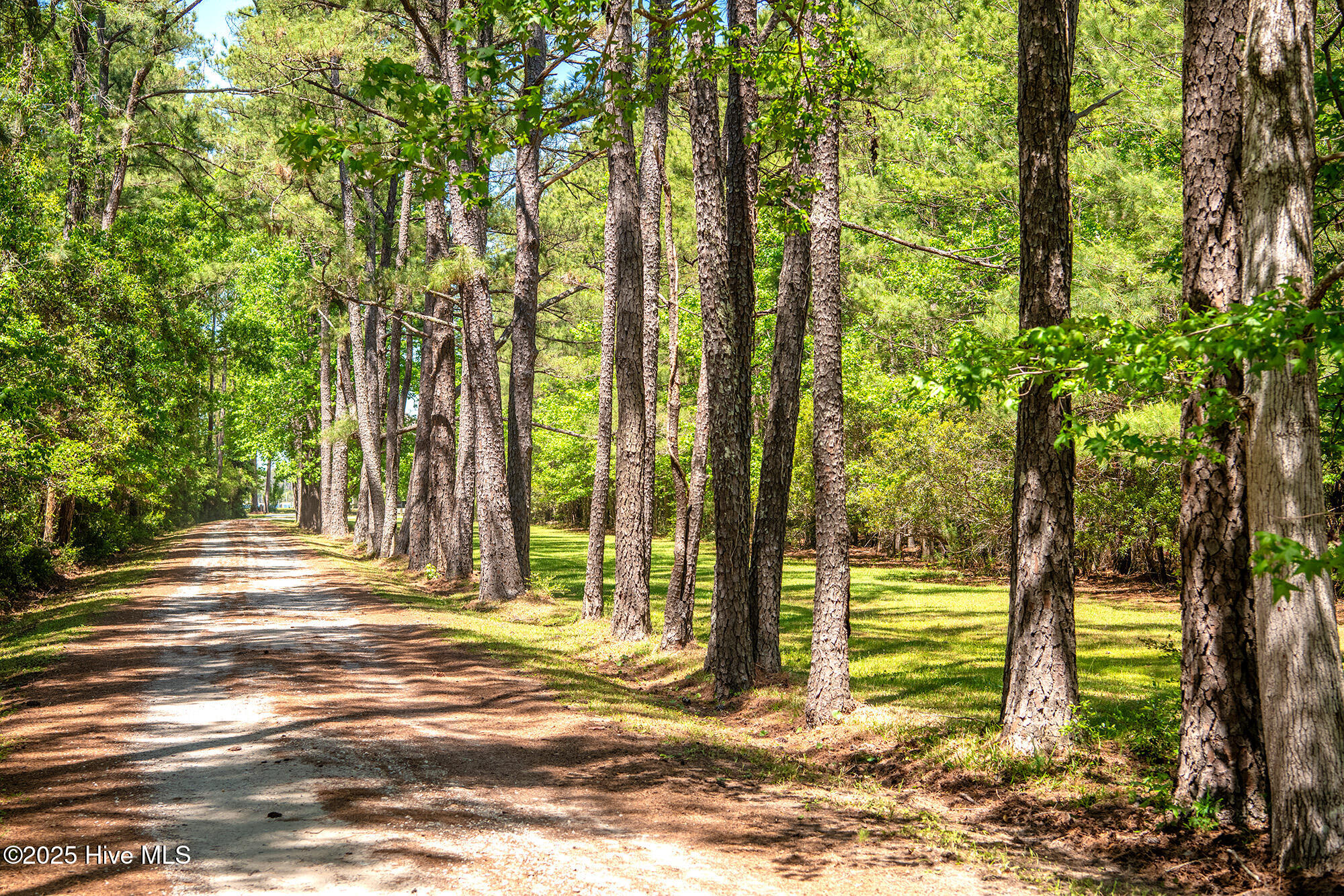 259 Creek Road Property Photo 42