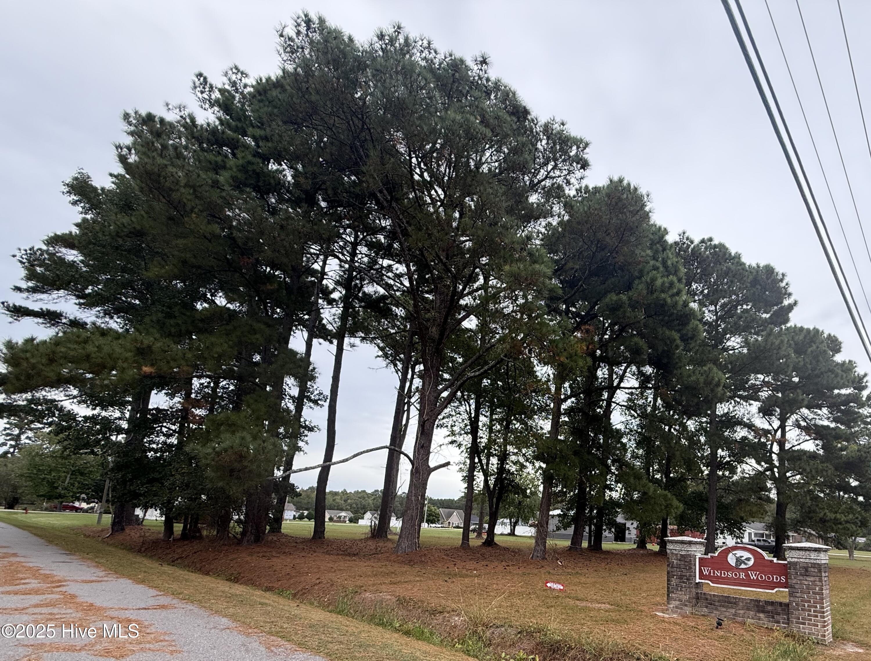 919 Soundside Road Property Photo 16