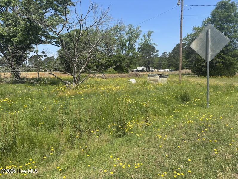 5226 Creech Road Property Photo