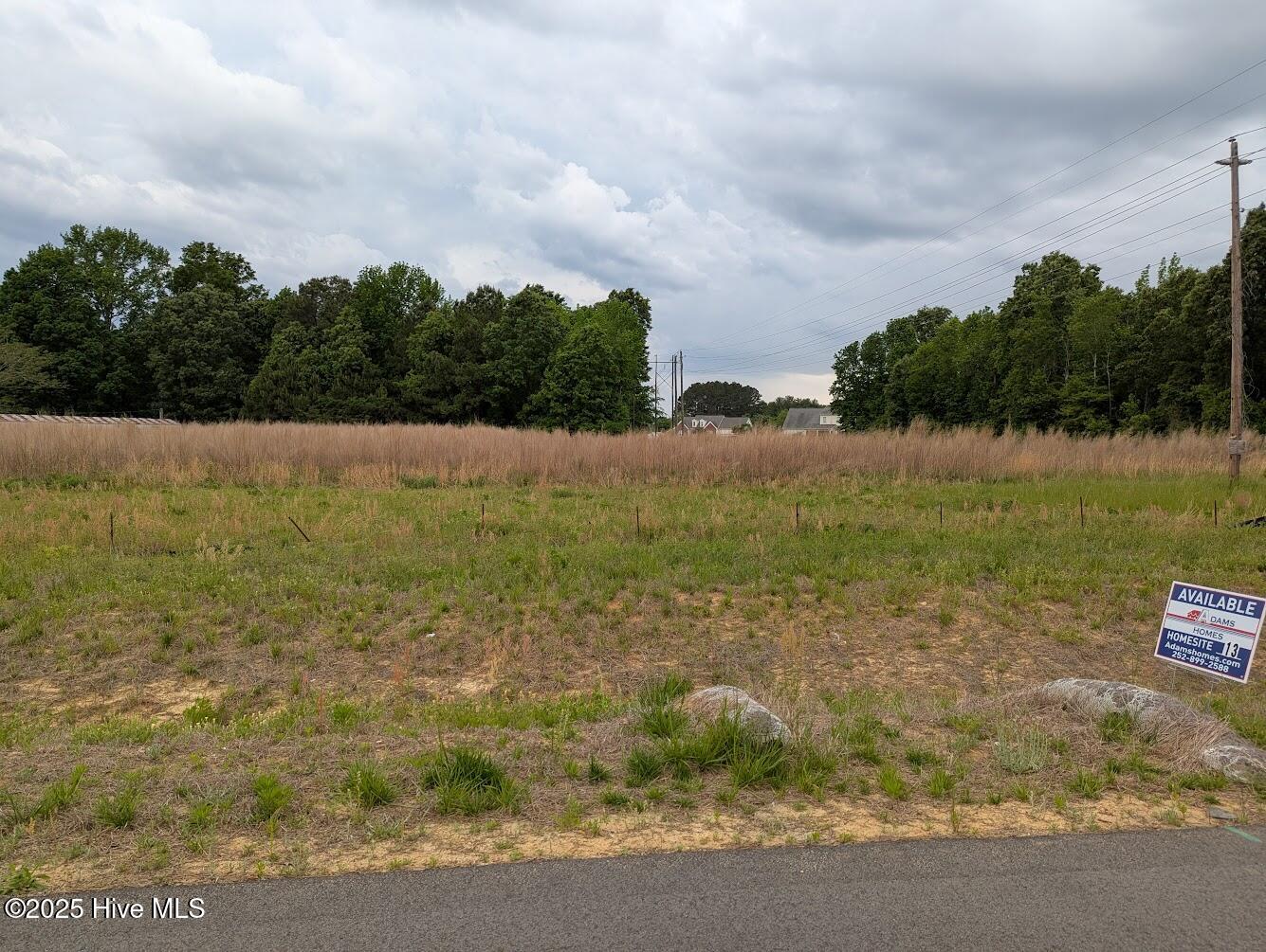 457 Sweet Potato Lane Lot 13 Property Photo 2