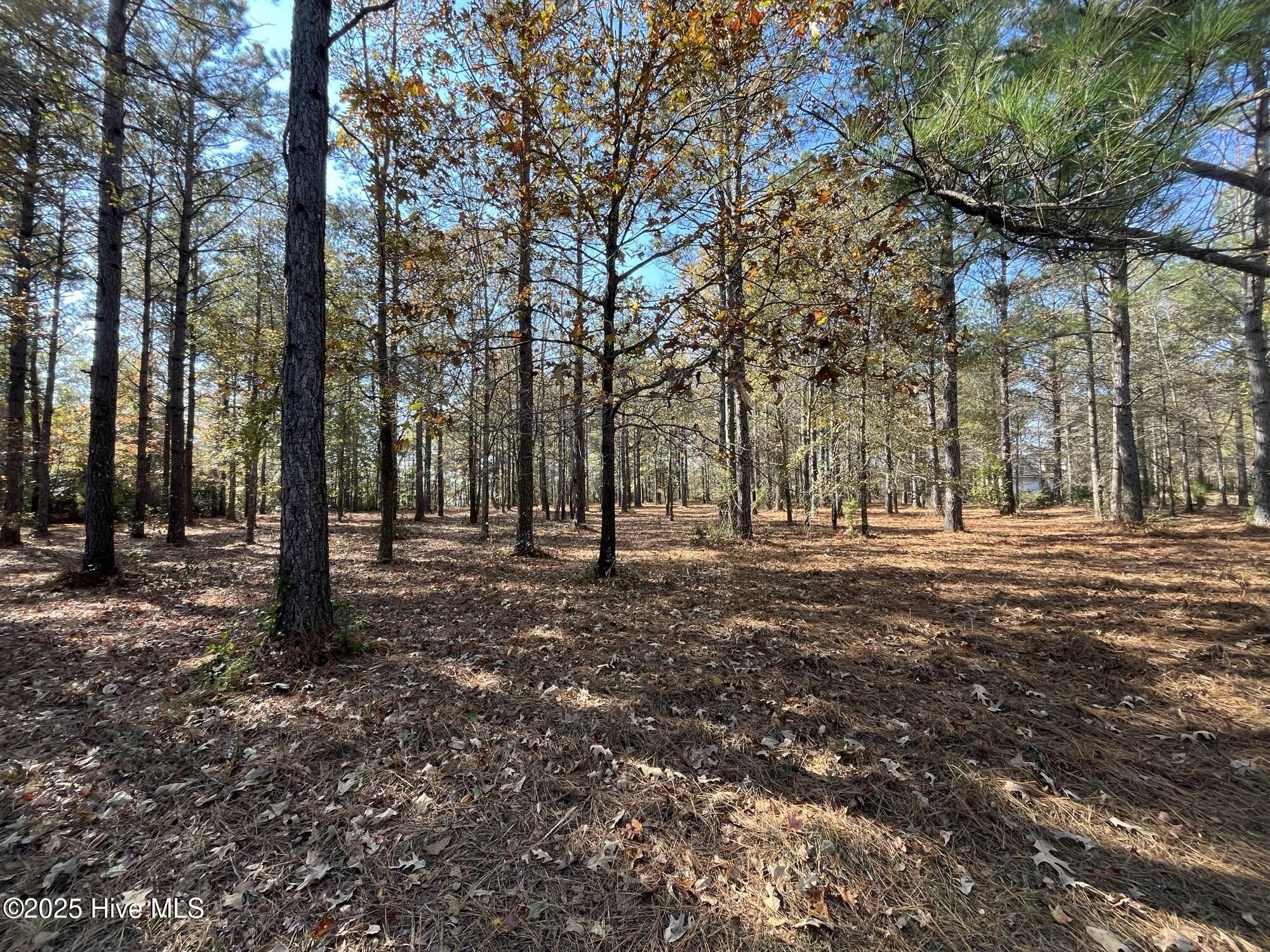 45 N Berne Landing Road Property Photo 3