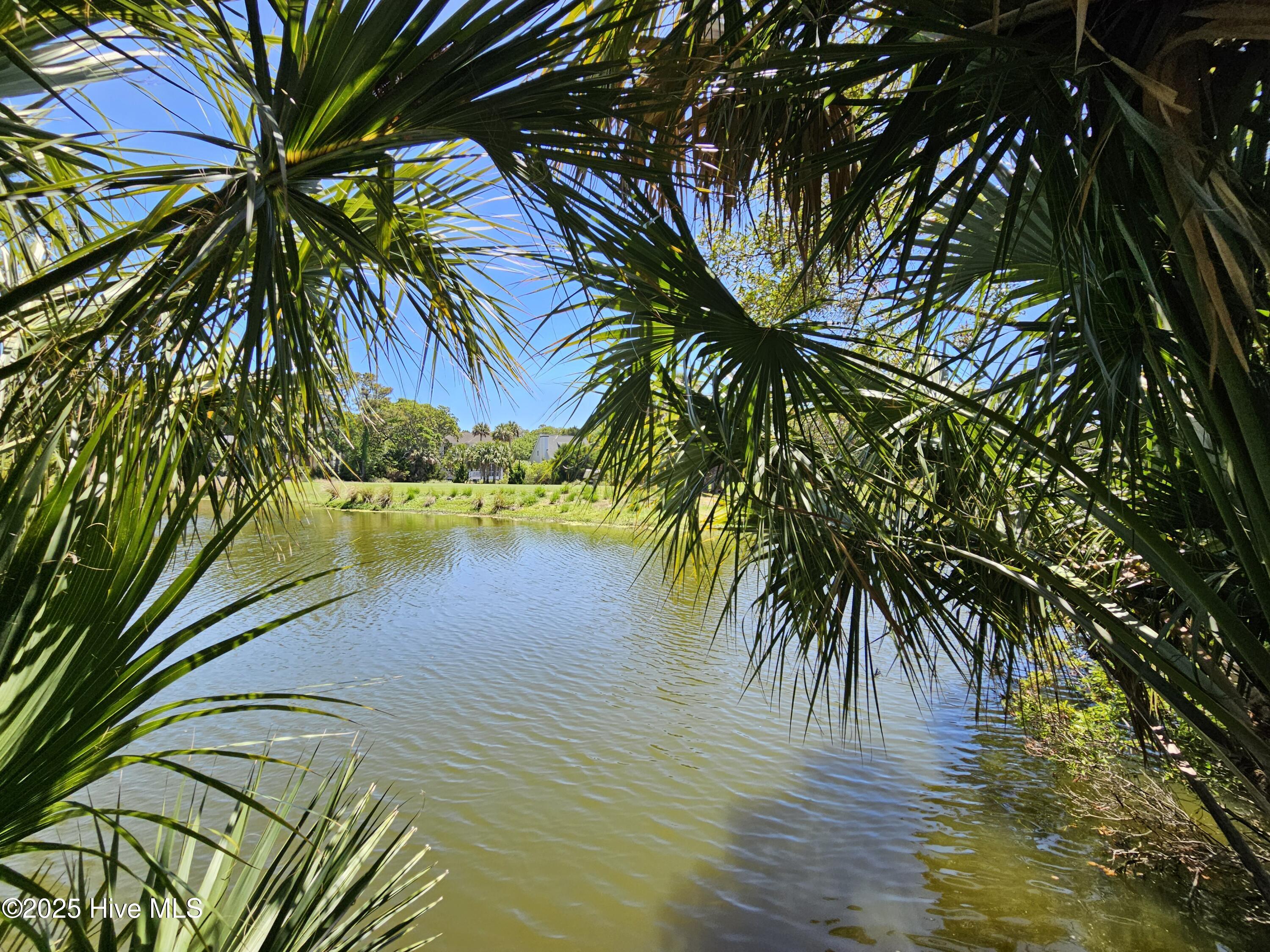 30 Sabal Palm Trail Property Photo 1