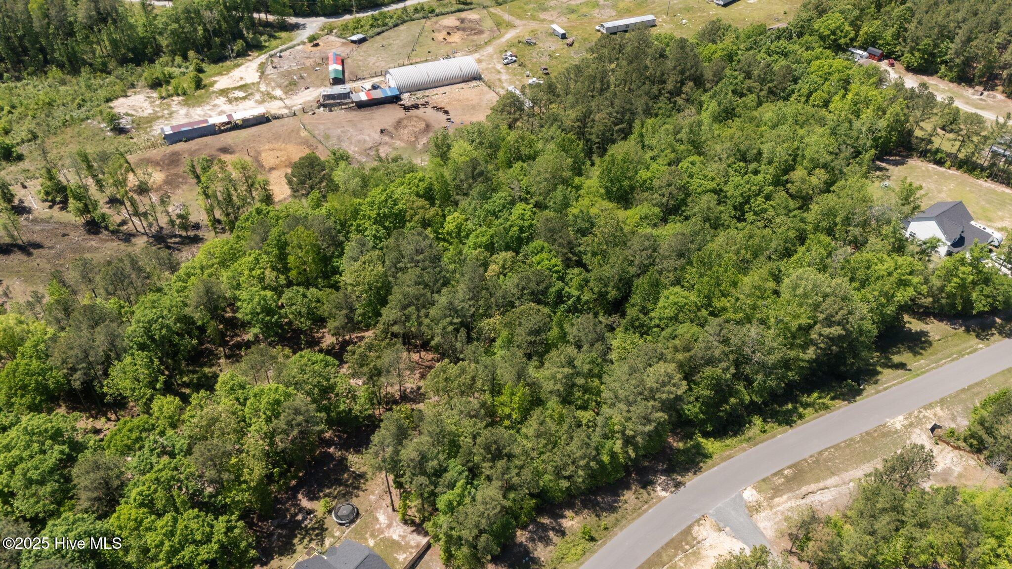 219 Stella Way Property Photo 4