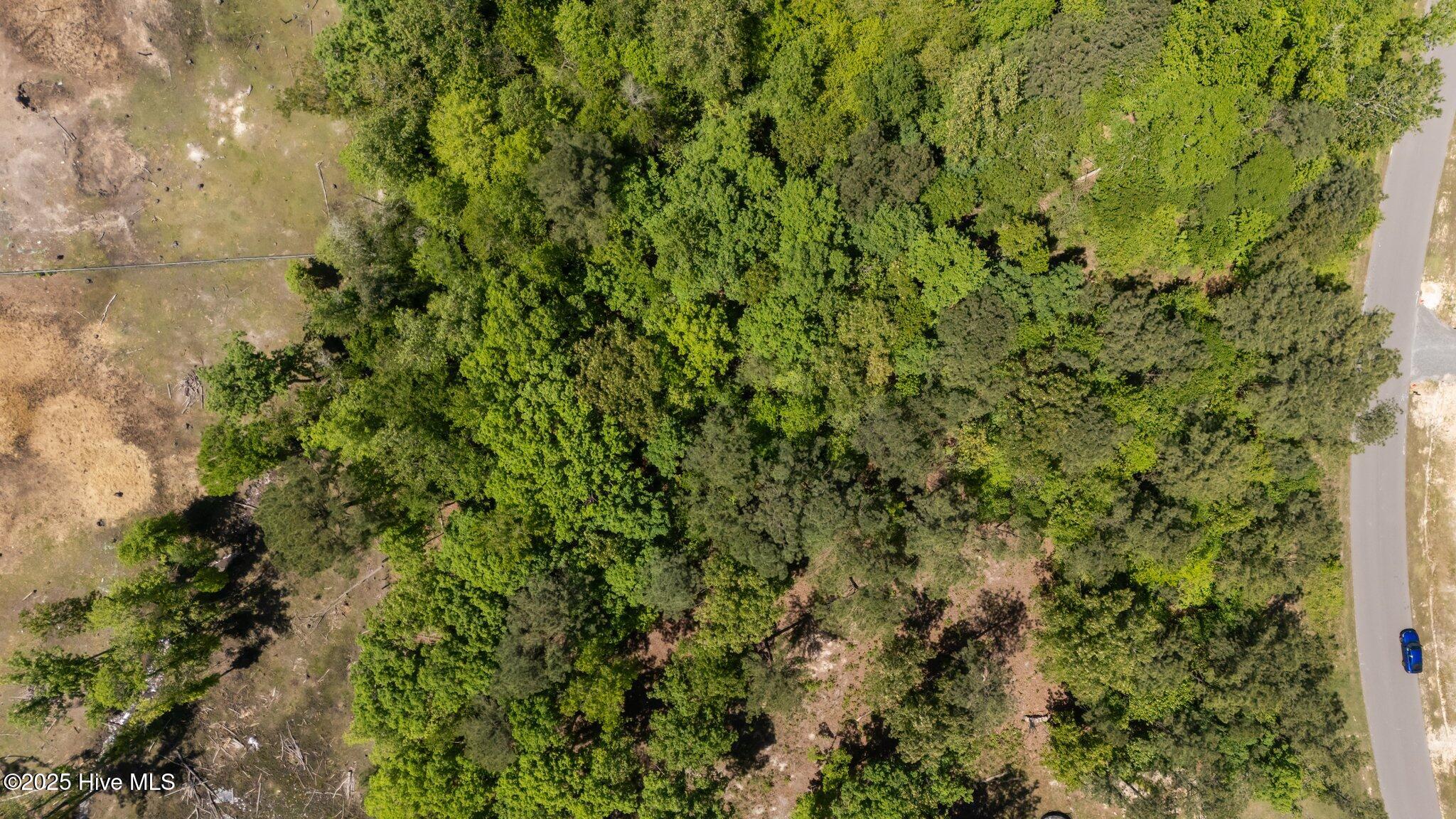 219 Stella Way Property Photo 19