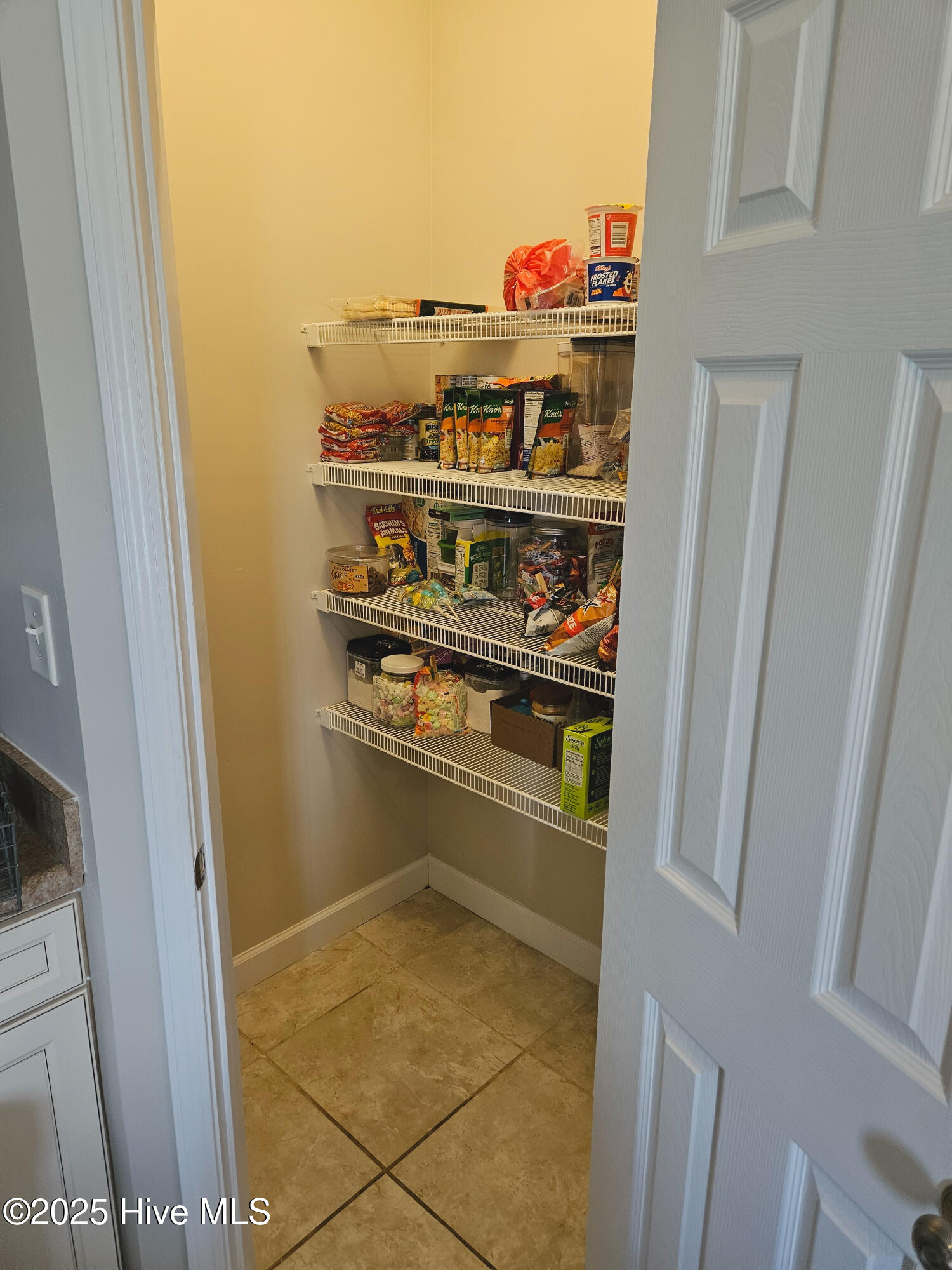 111 Woods Run Circle Property Photo 14