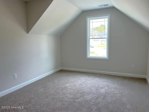 196 Cozy Brook Court Property Photo 23