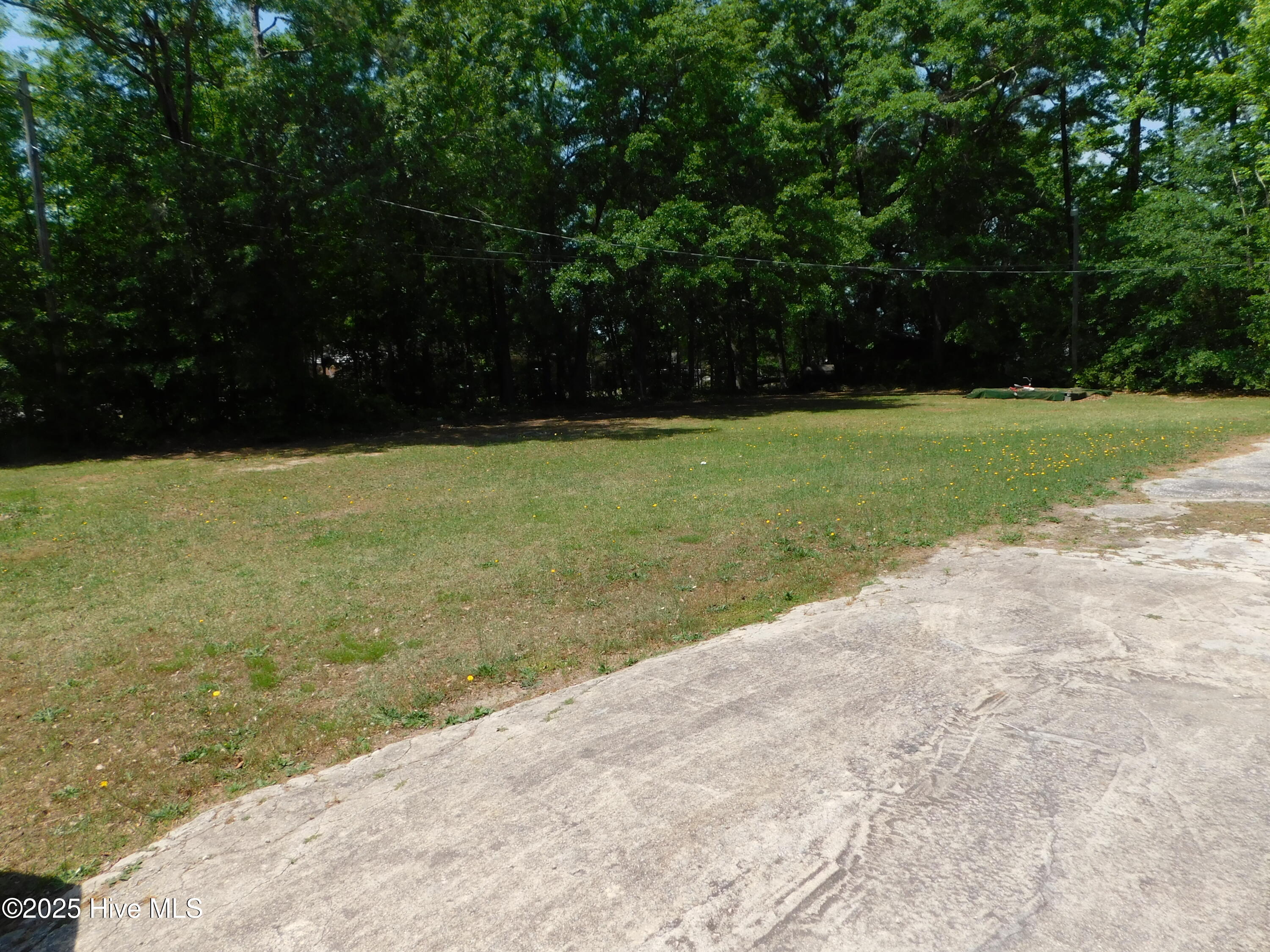 1505 Woodlawn Street Property Photo 44