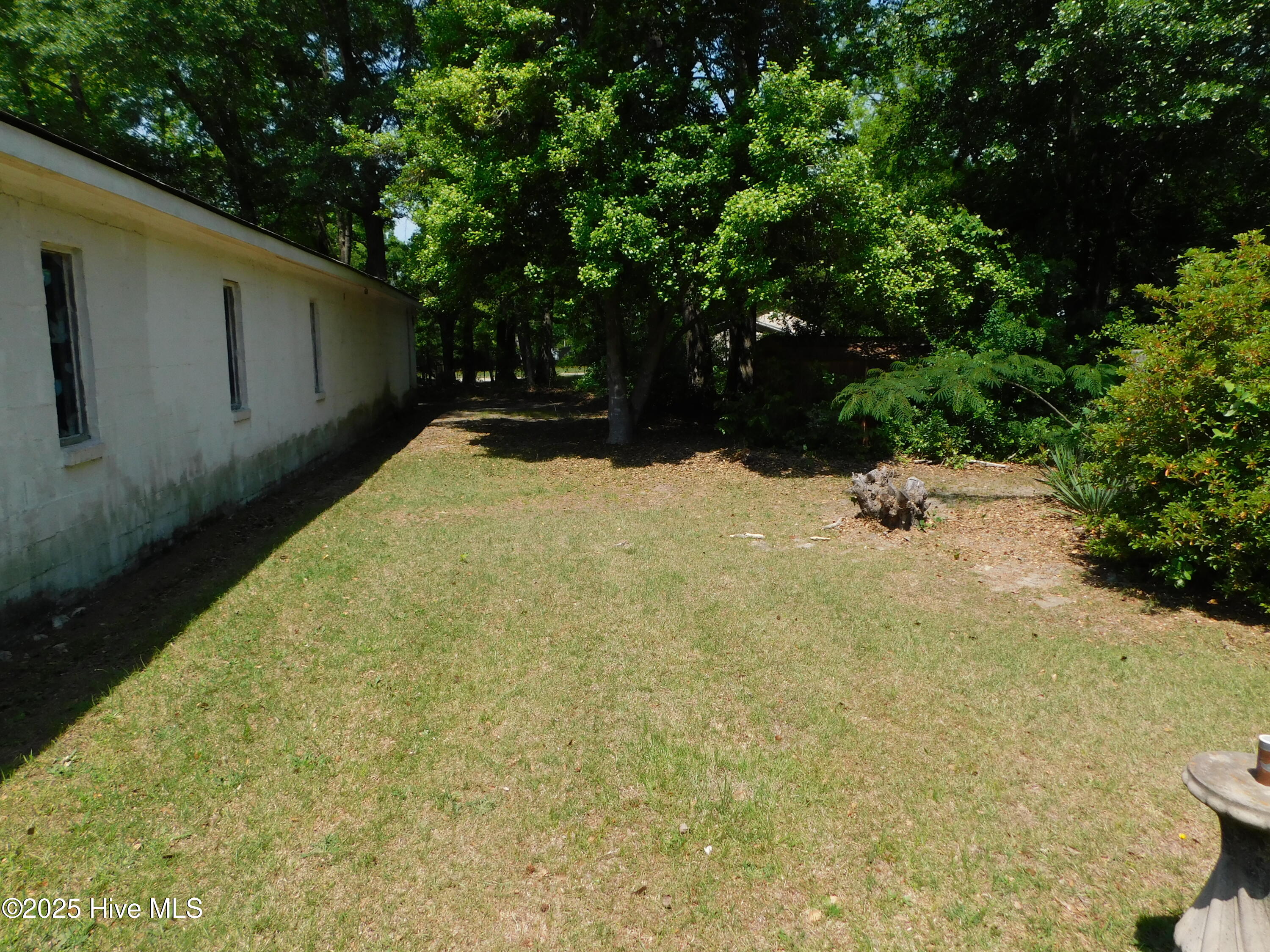 1505 Woodlawn Street Property Photo 51