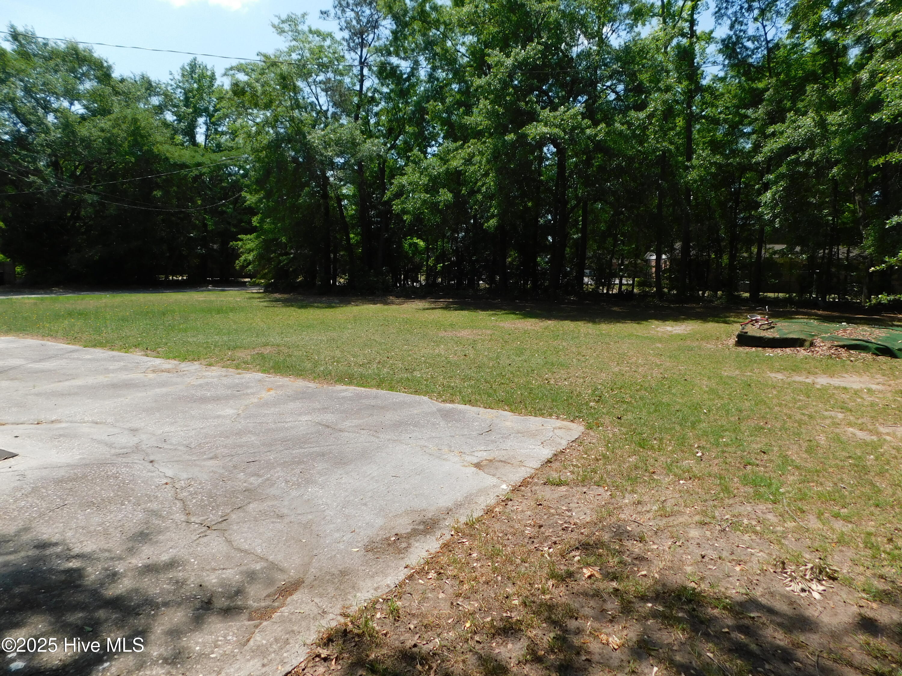 1505 Woodlawn Street Property Photo 55
