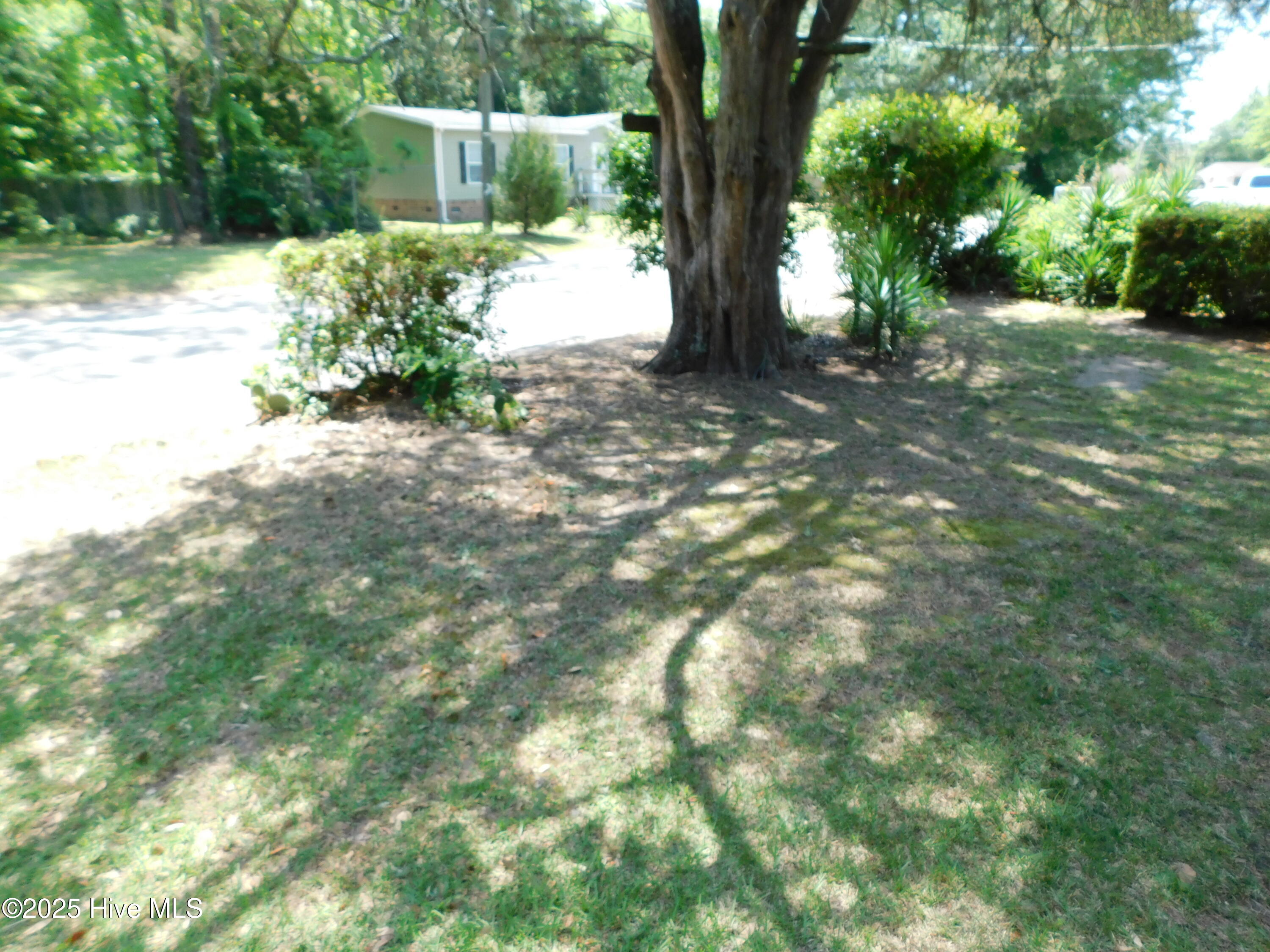 1505 Woodlawn Street Property Photo 65