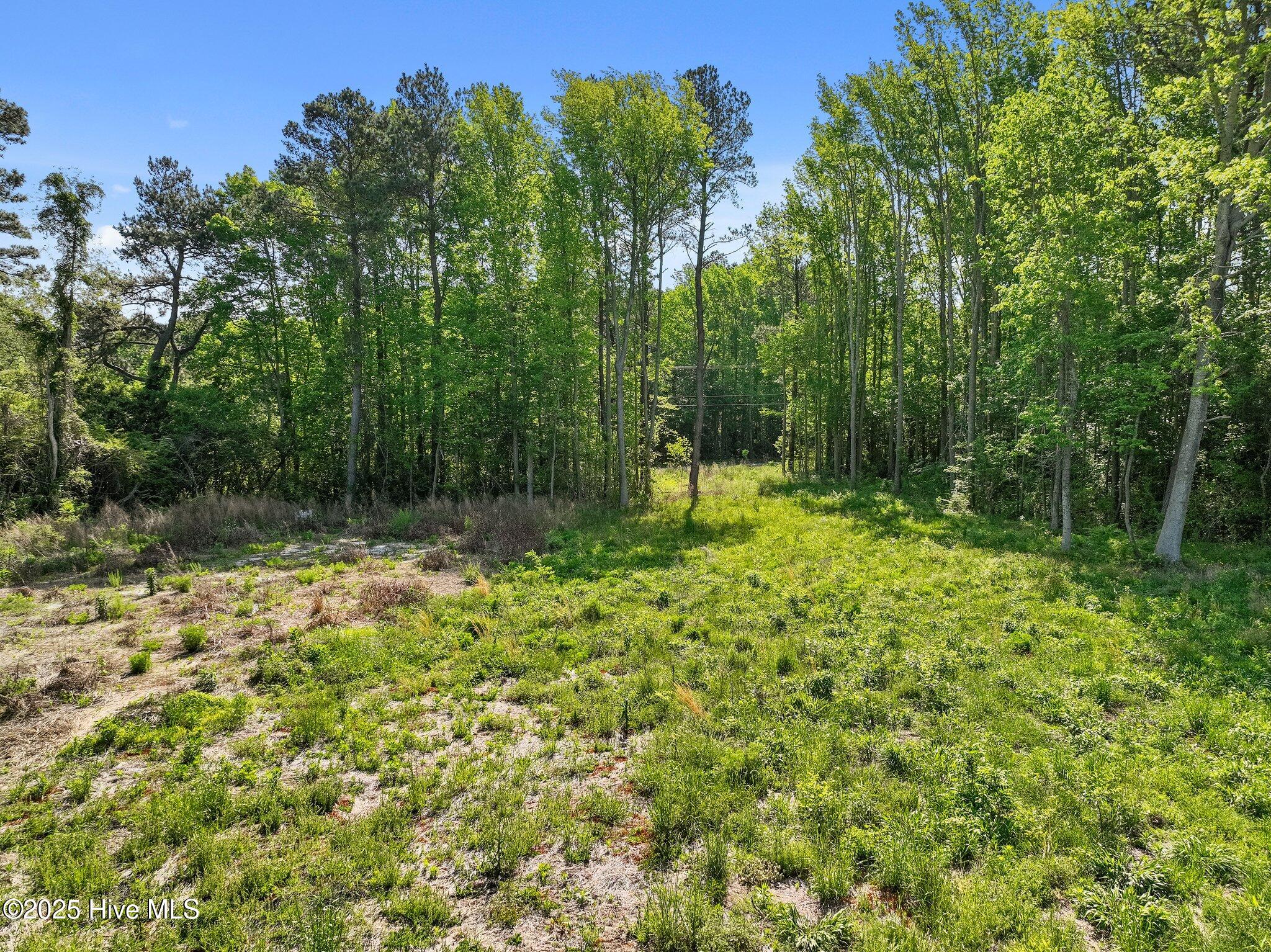 170 Caroon Road Property Photo 10