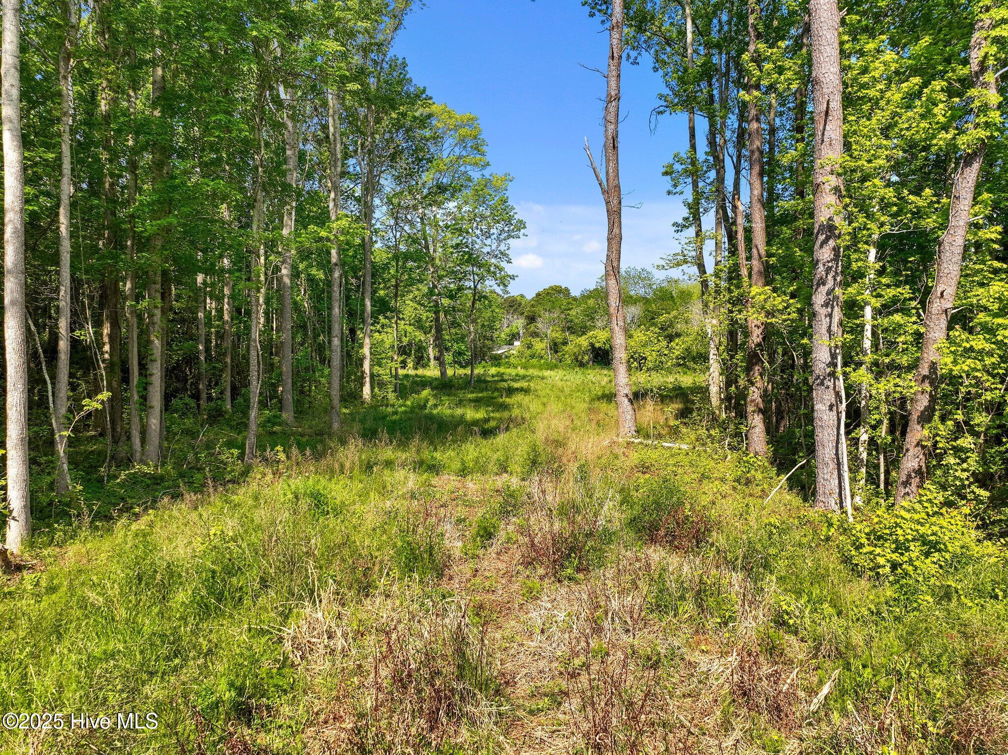 170 Caroon Road Property Photo 13