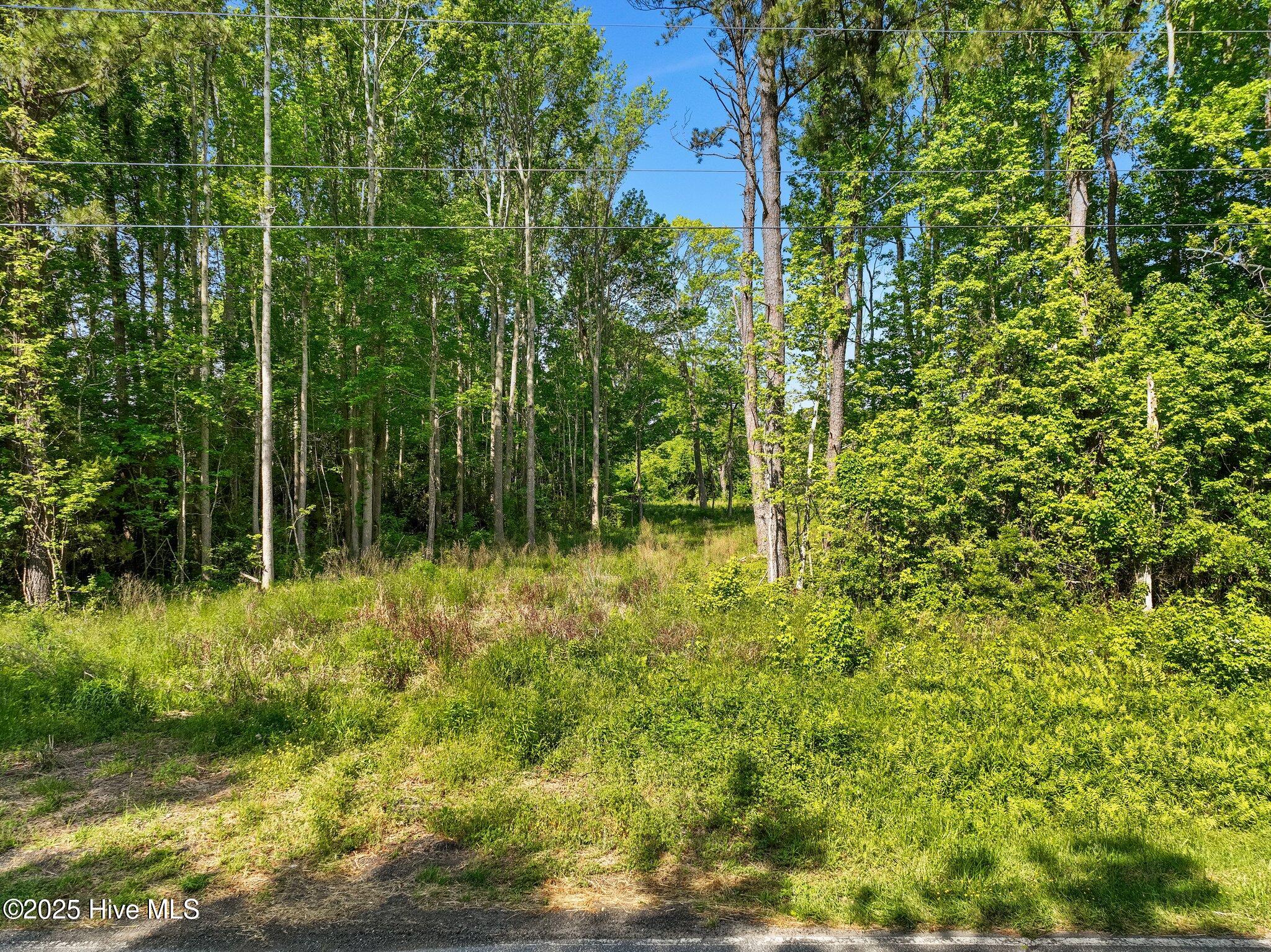 170 Caroon Road Property Photo 15