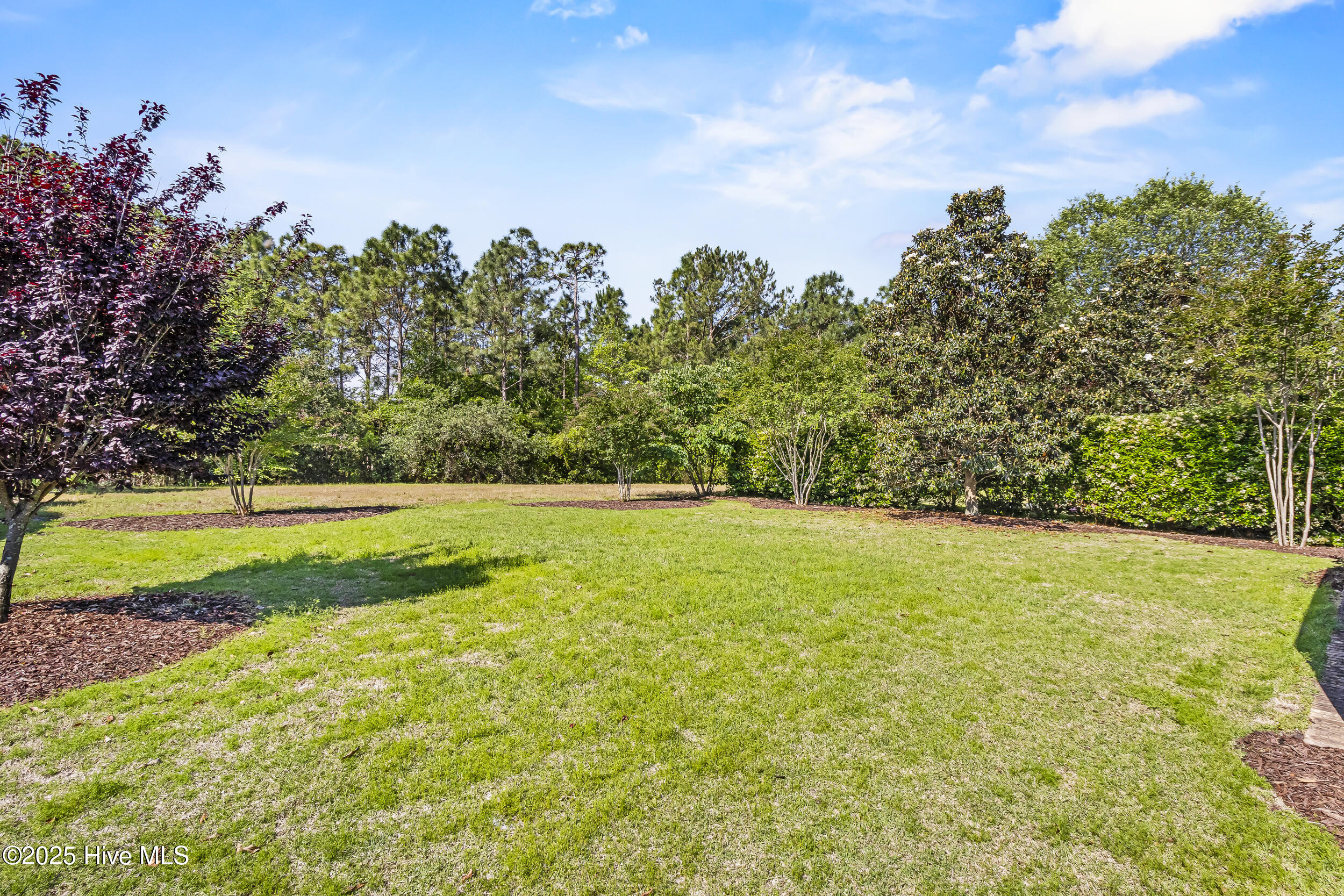 6618 Motts Village Road Property Photo 49