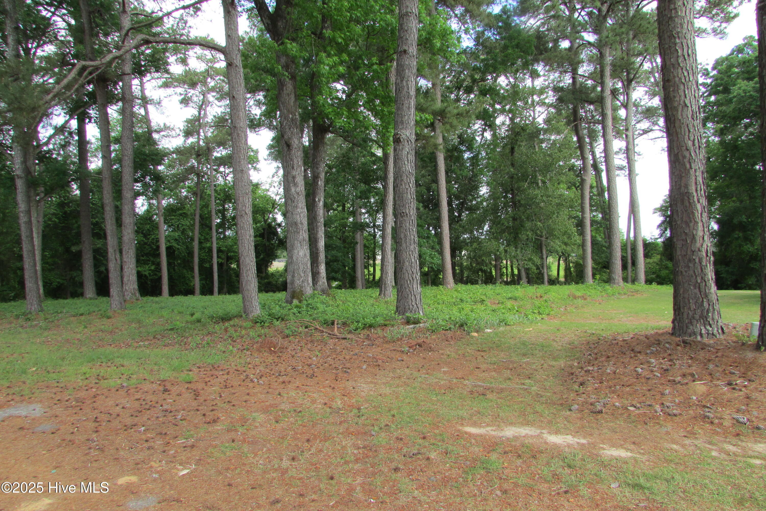 0 Jasmine Court Property Photo