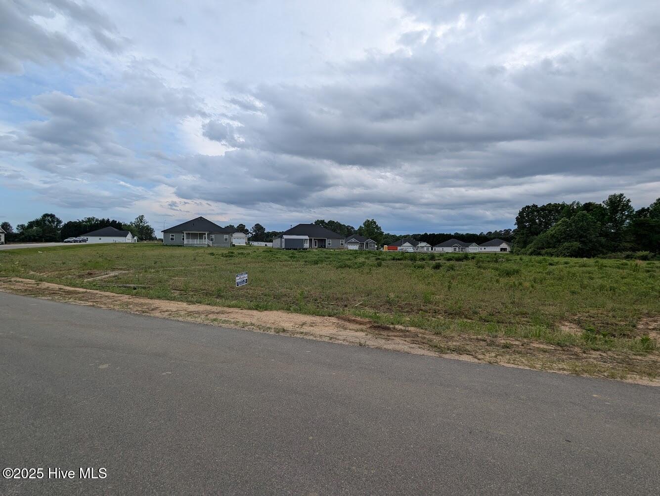 1590 Pecan Drive Lot 45 Property Photo 2