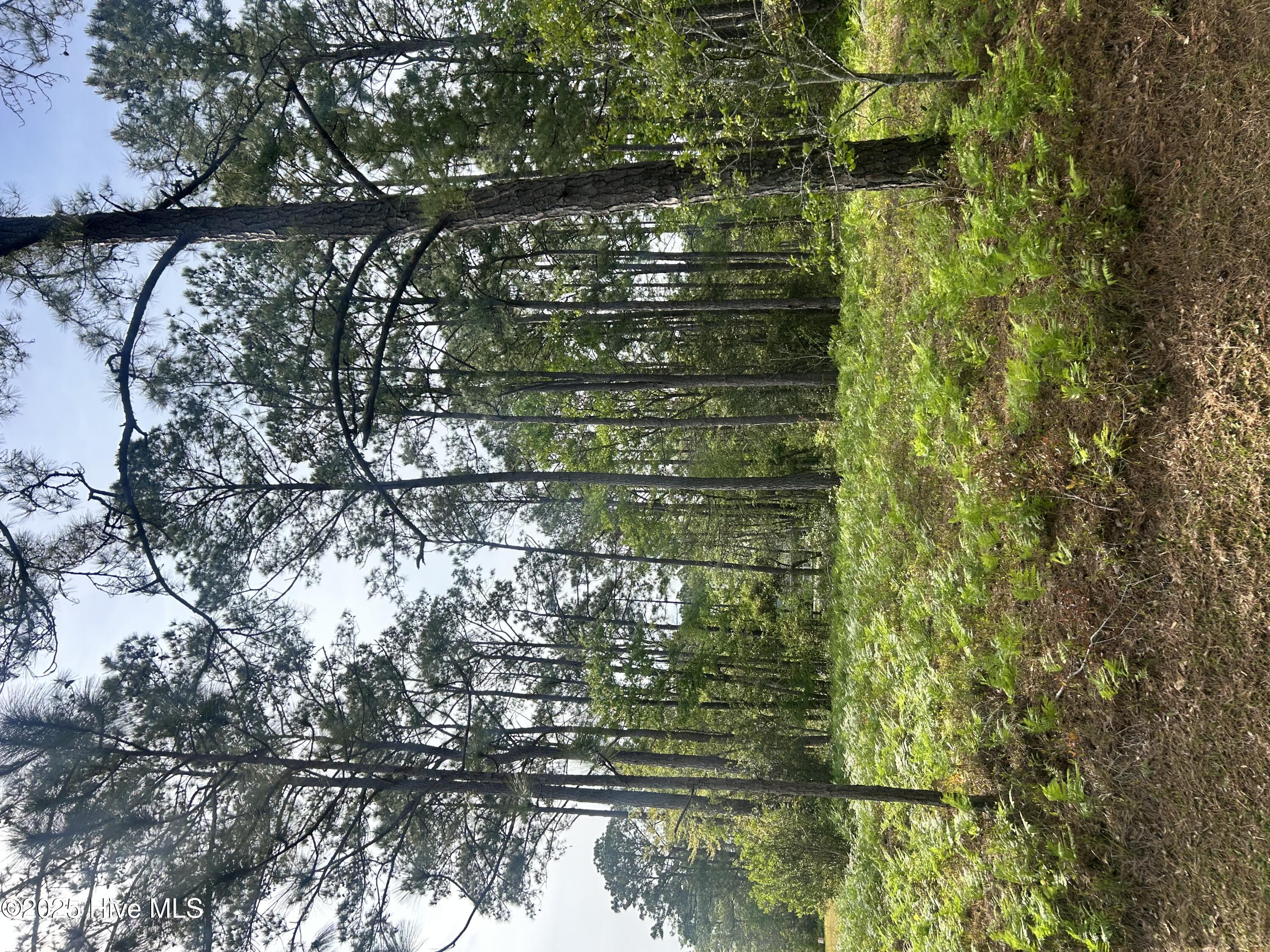 235 Barrington Ridge Property Photo 1