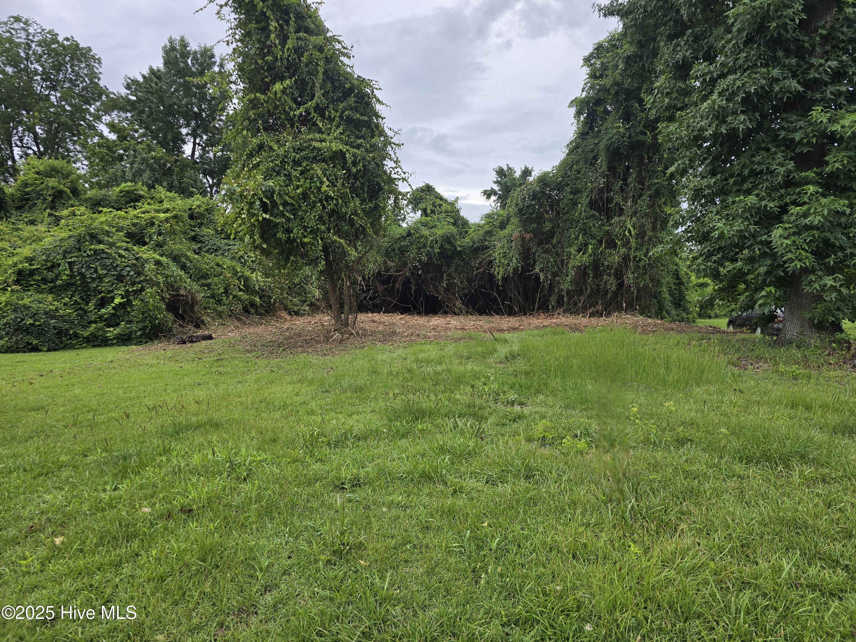 1513 Lincoln Street Property Photo 1