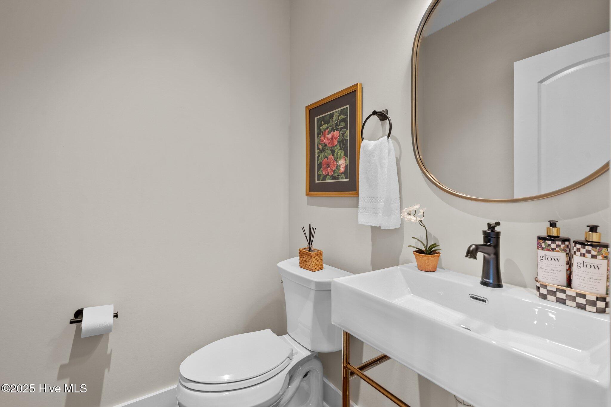 100 Holly Springs Court Property Photo 43