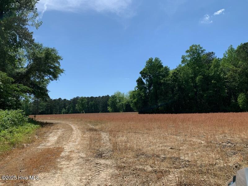 Tbd Near 1195 Cedar Grove Church Road Property Photo