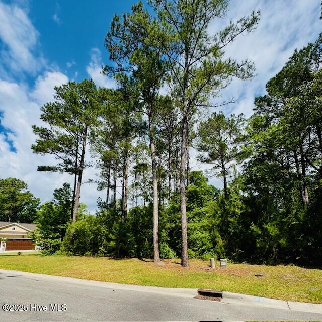 9315 Buccaneer Court Property Photo 4
