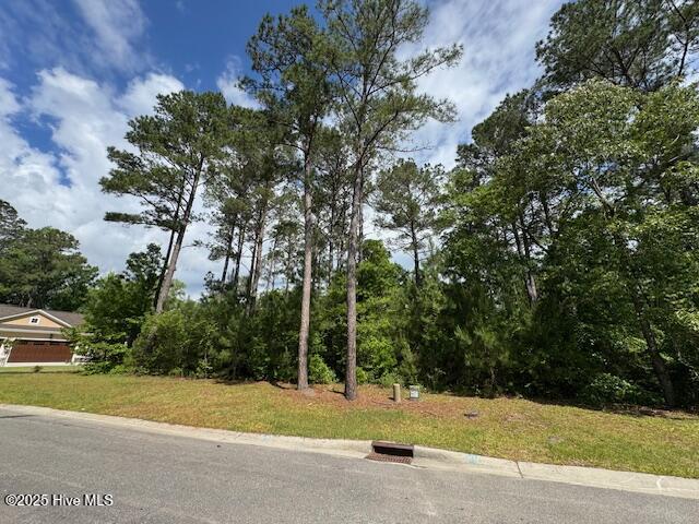 9315 Buccaneer Court Property Photo 5