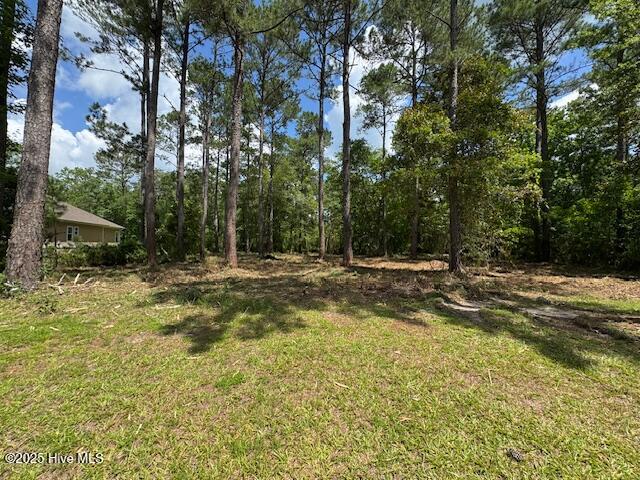 9315 Buccaneer Court Property Photo 22