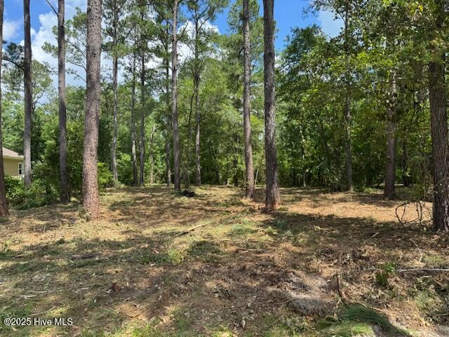 9315 Buccaneer Court Property Photo 24