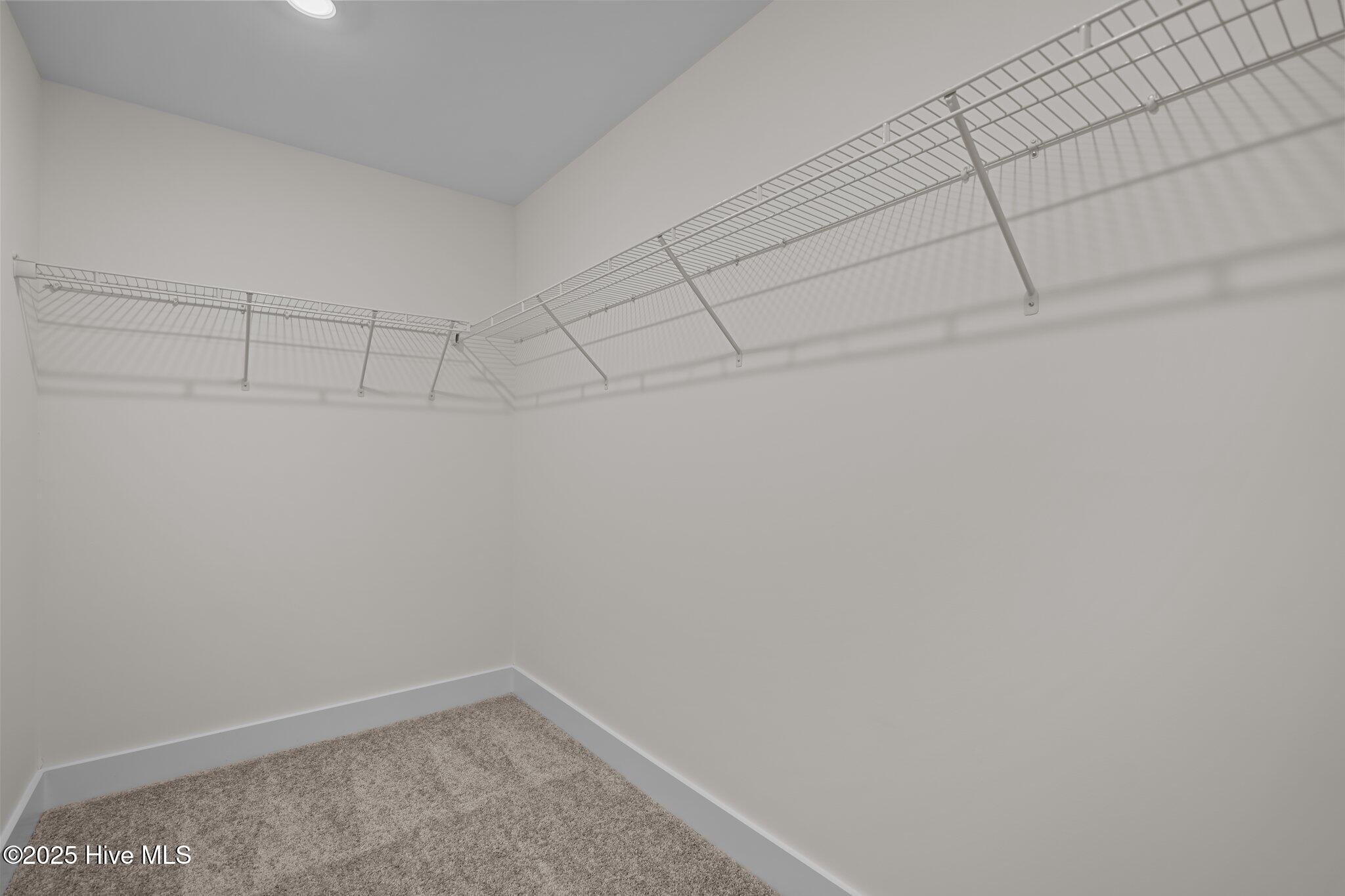 69 S Umbrella Palm Drive Property Photo 16