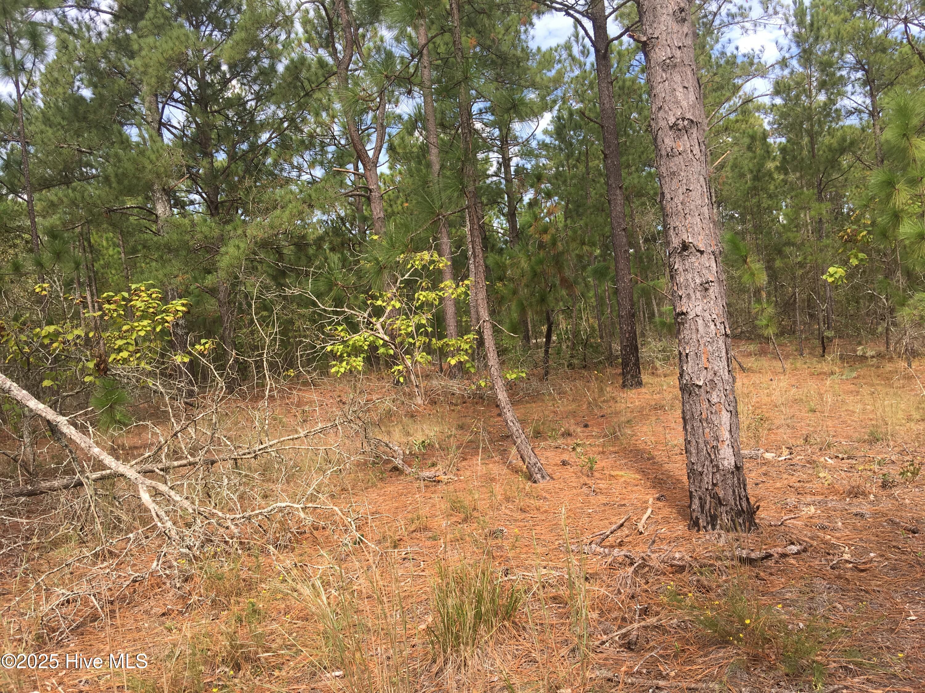 Tbd Plank Road Property Photo 1