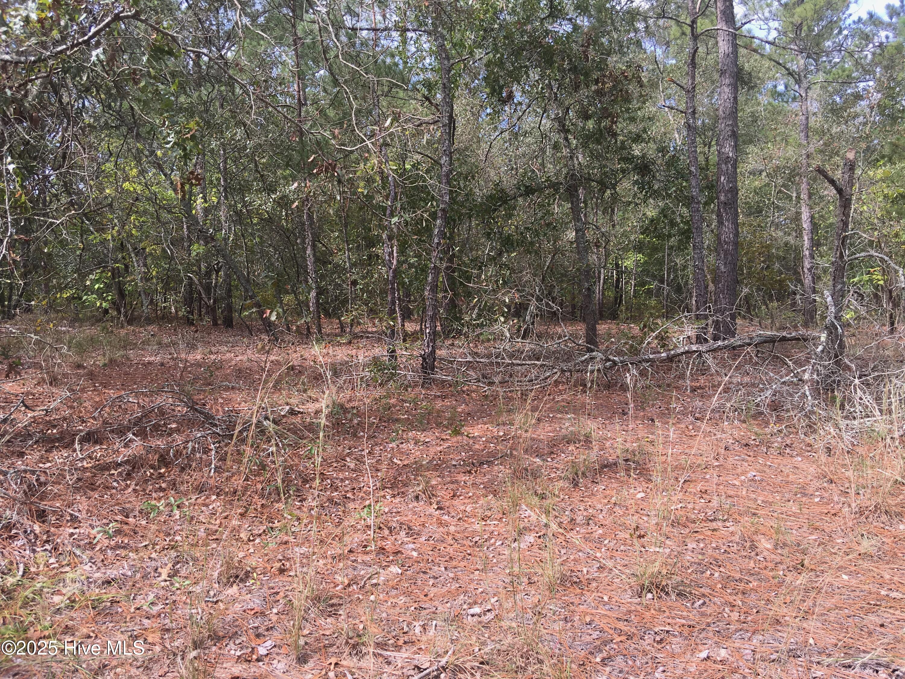 Tbd Plank Road Property Photo 2