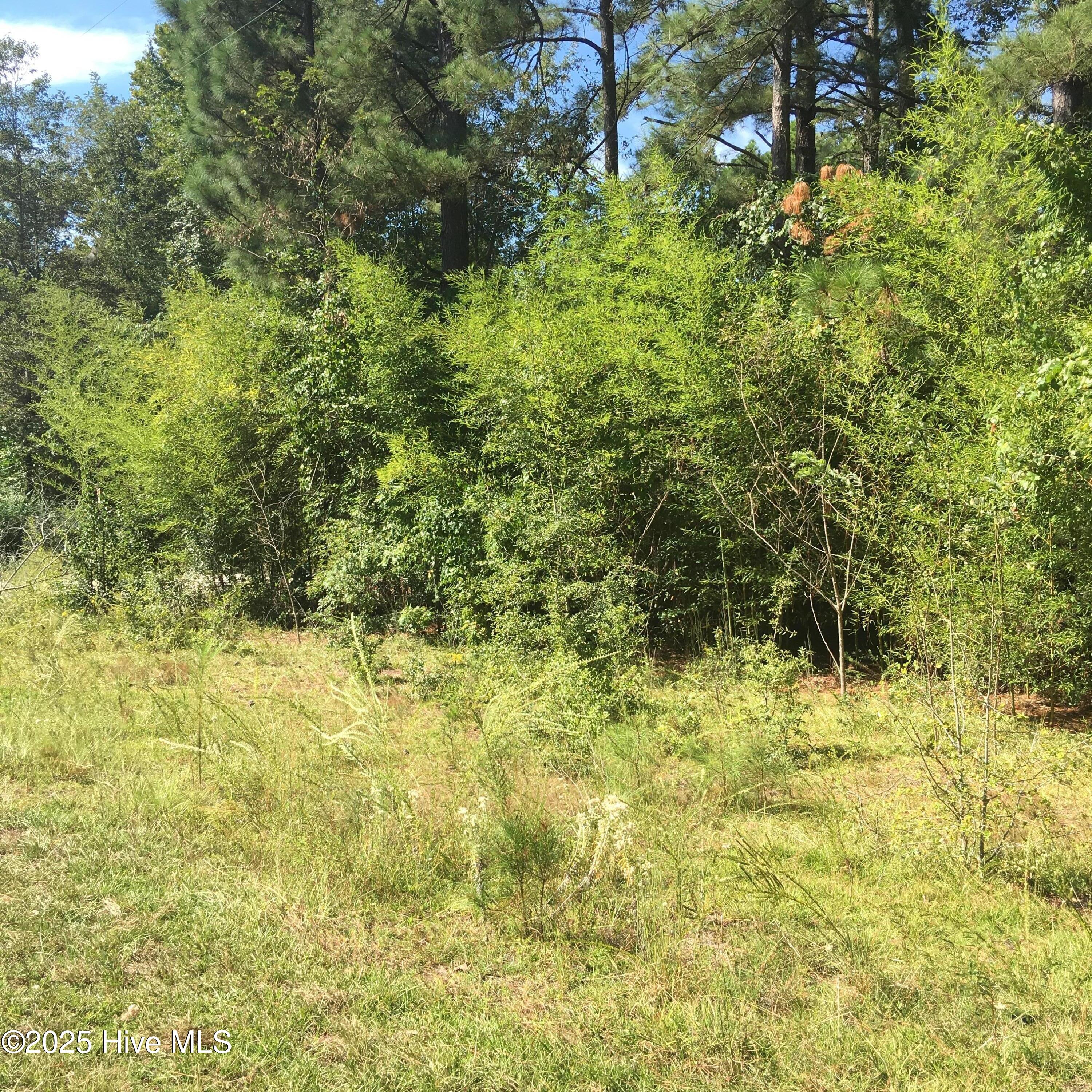 Tbd Plank Road Property Photo 3