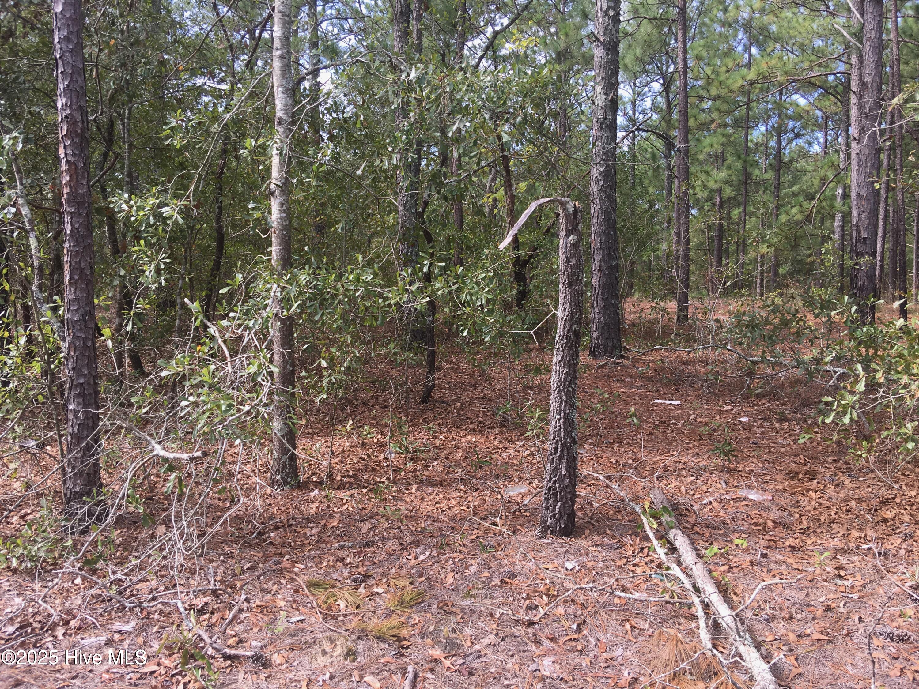 Tbd Plank Road Property Photo 4