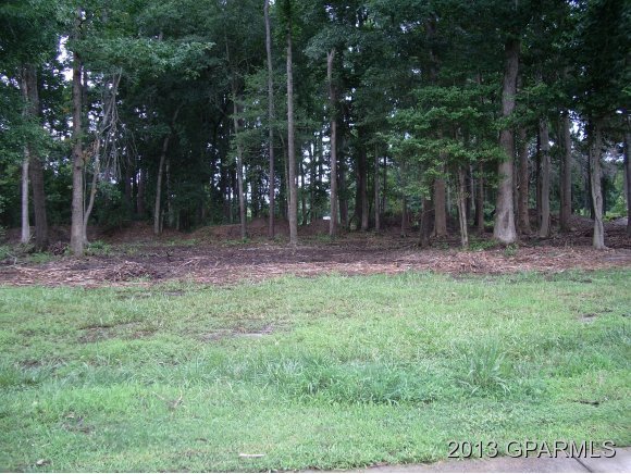 254 Magnolia Drive Property Photo 1
