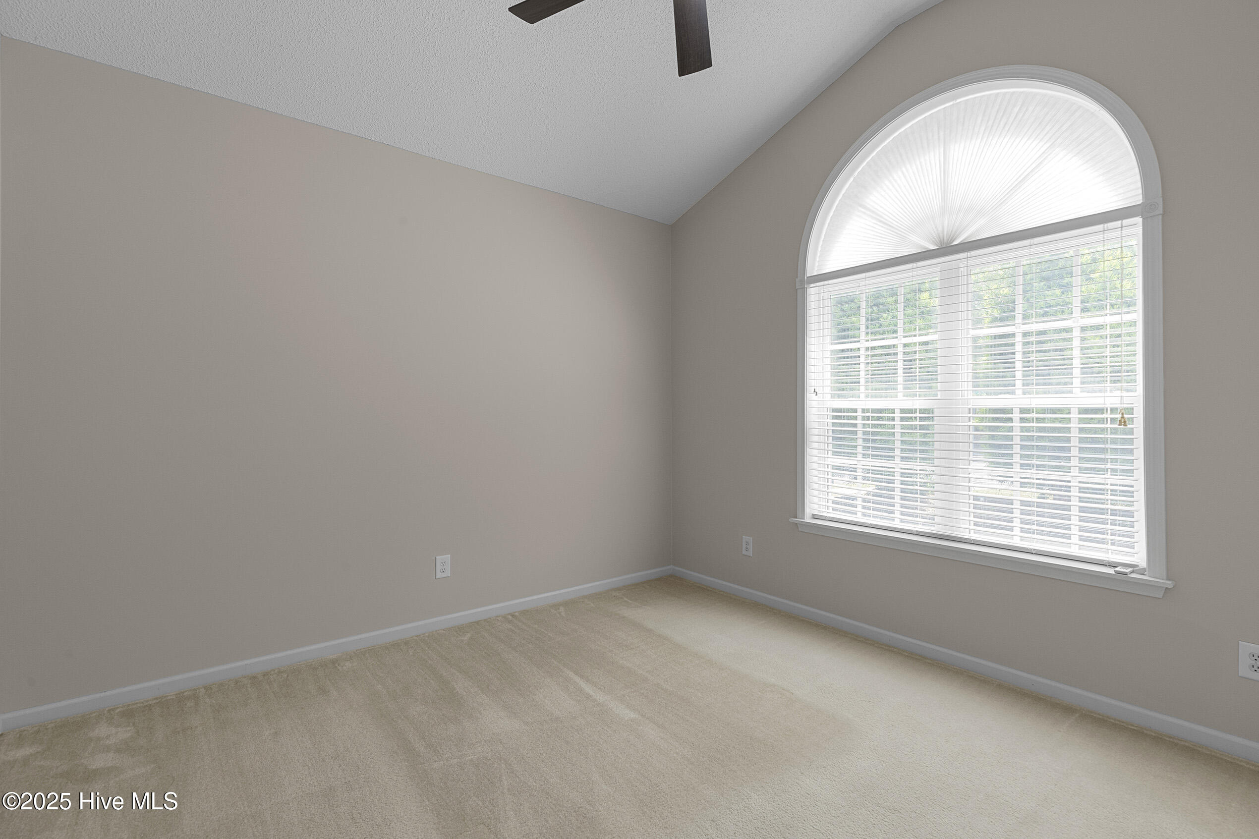 6806 Teviot Drive Property Photo 28