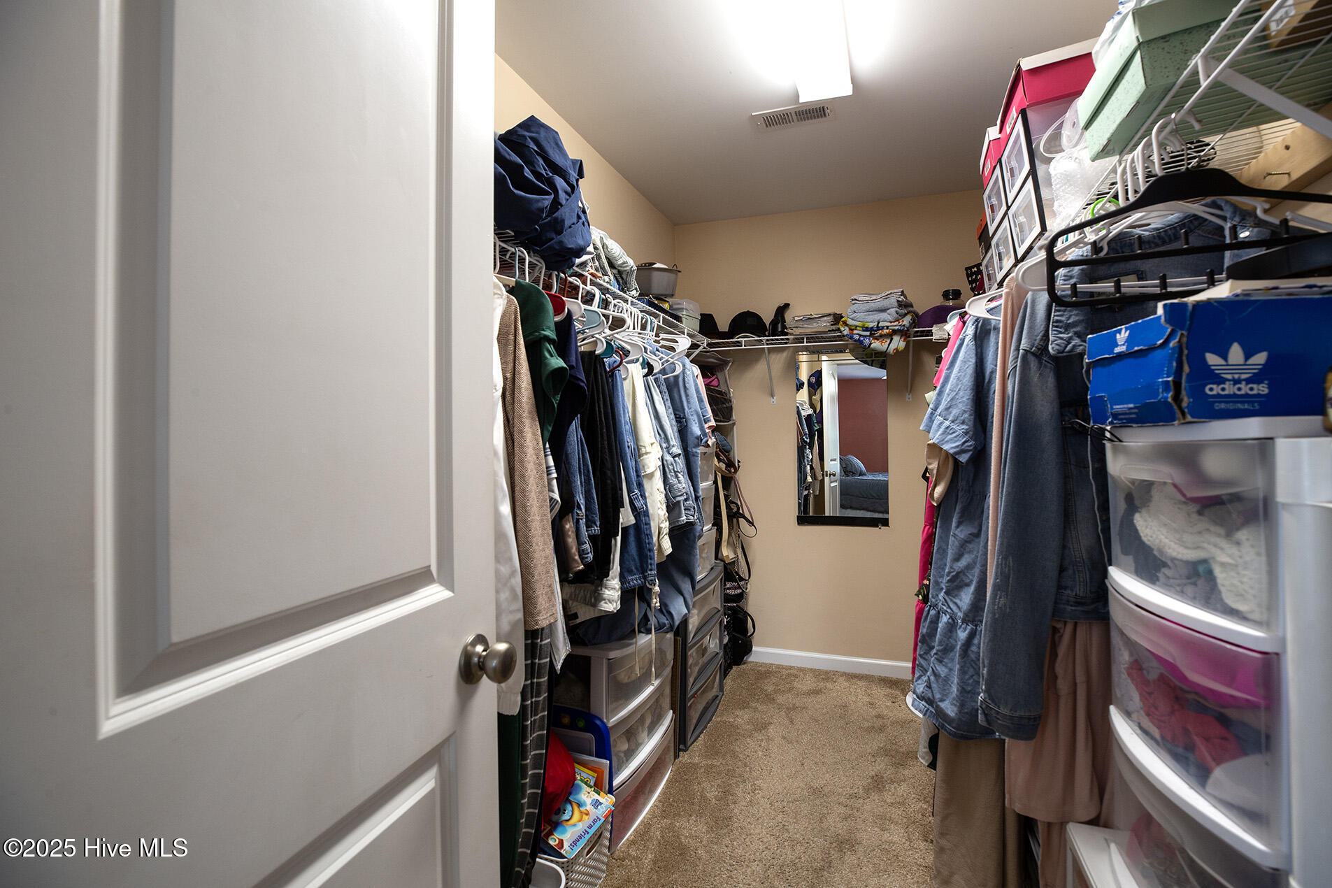 1511 Reagan Court Property Photo 17