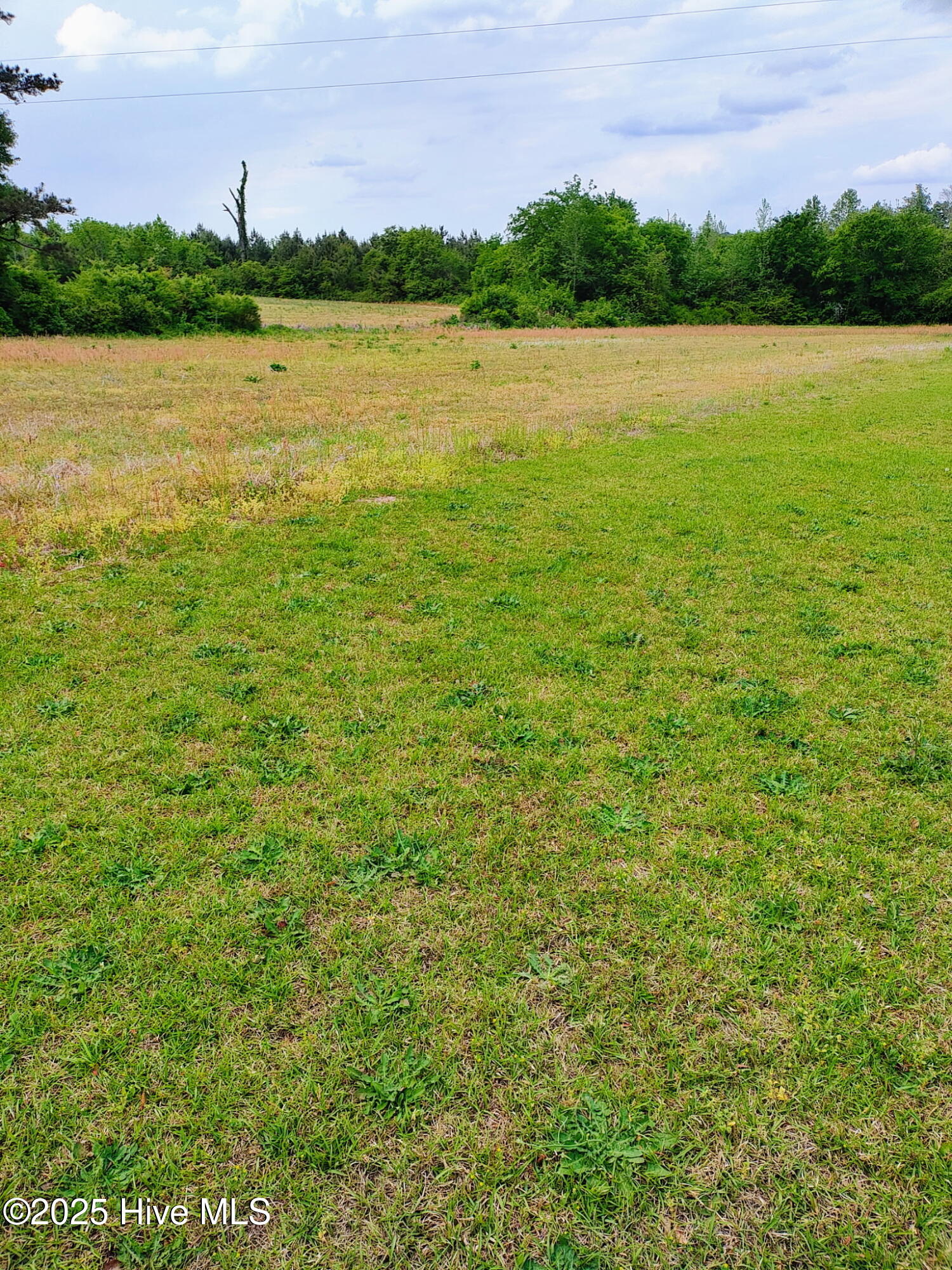10980 Justice Branch Road Property Photo 1
