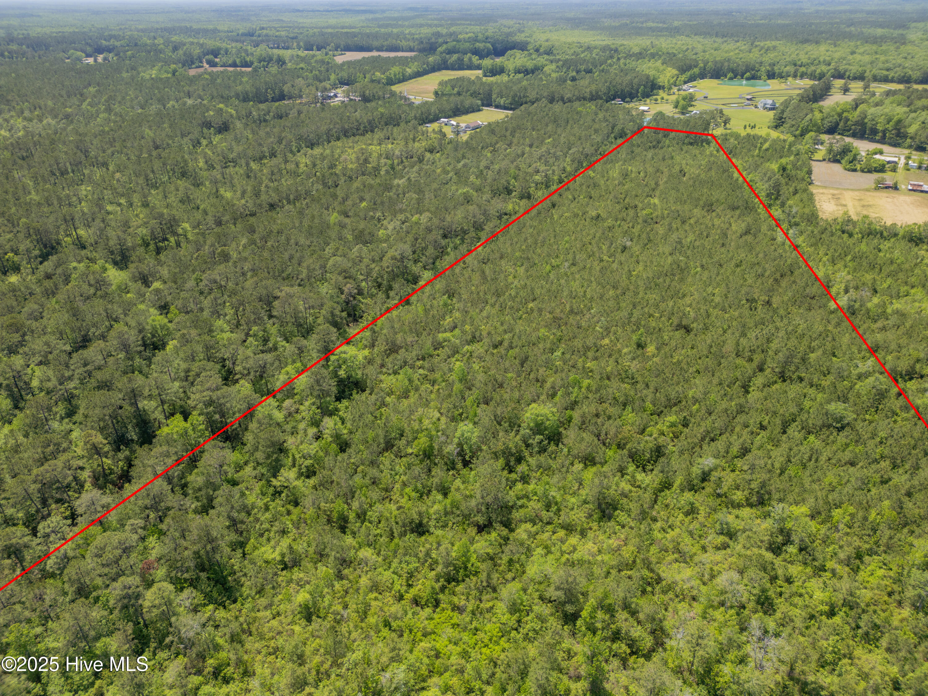 2600 Ash Little River Rd Property Photo 5