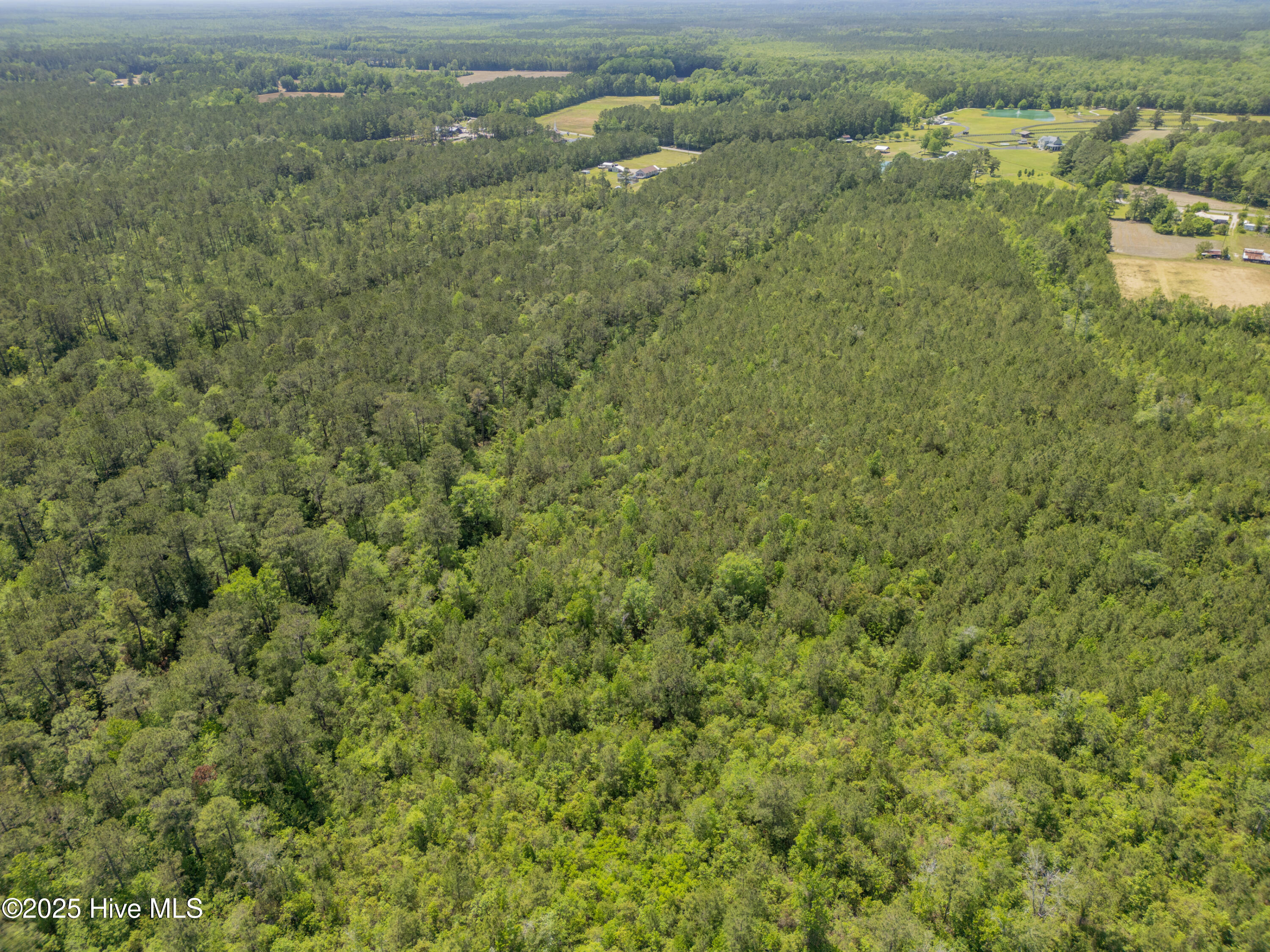 2600 Ash Little River Rd Property Photo 6