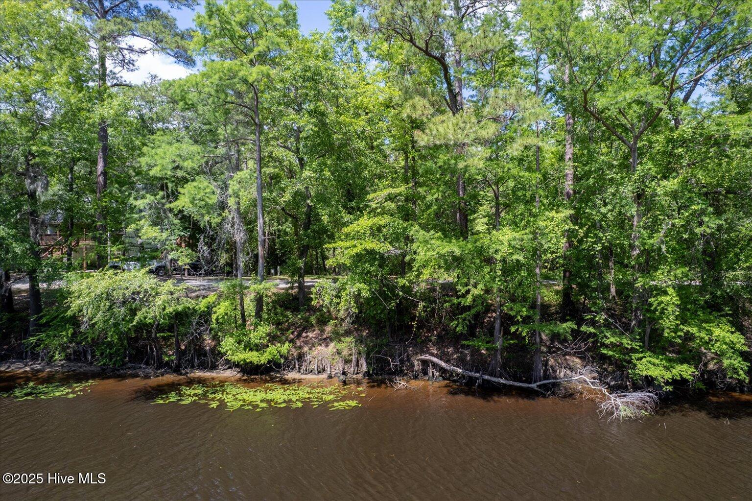 0 Riverview Drive Property Photo 19