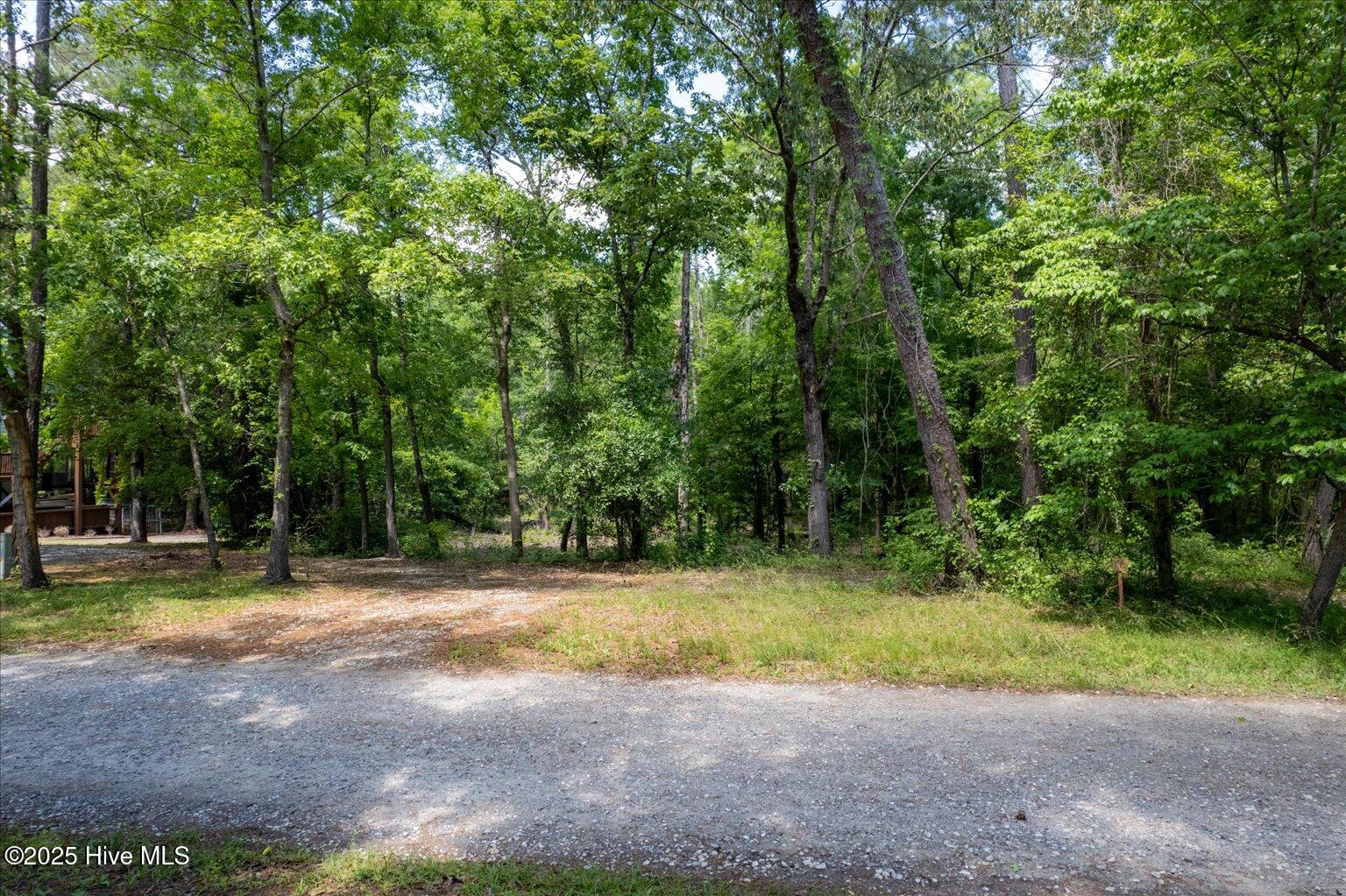 0 Riverview Drive Property Photo 24