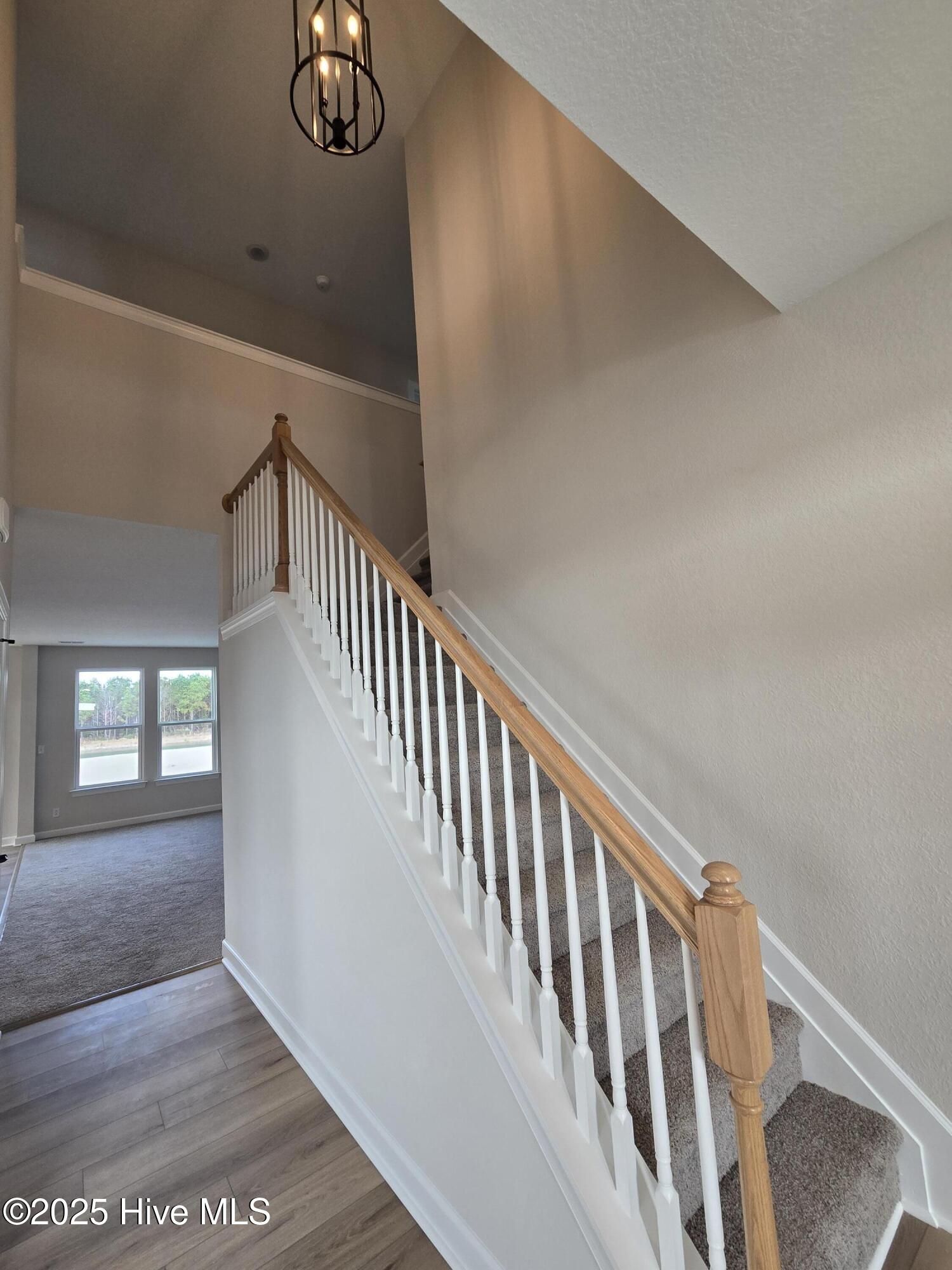 222 Arbormoor Lane Property Photo 3