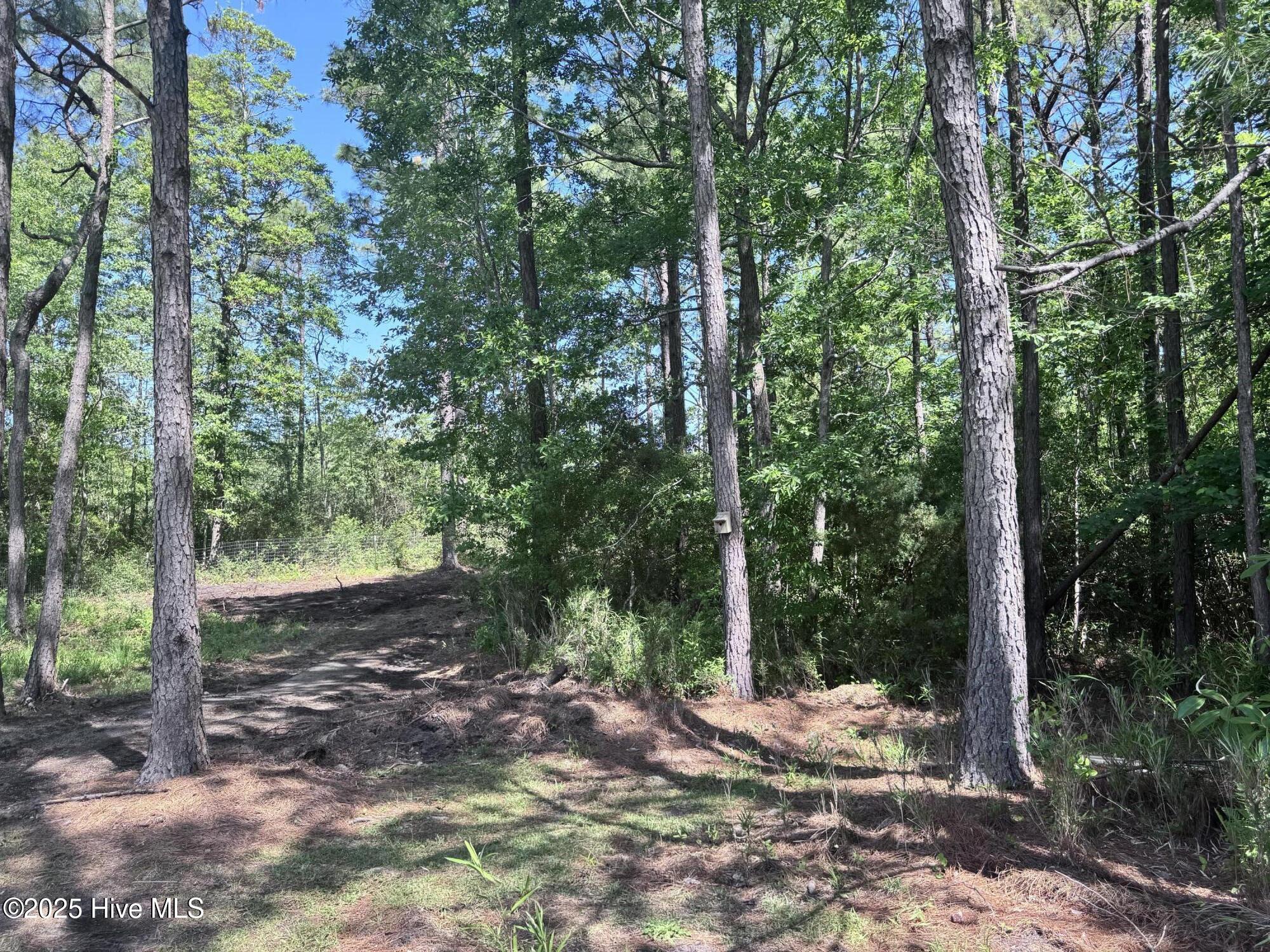 105 Sunset Court Property Photo 39