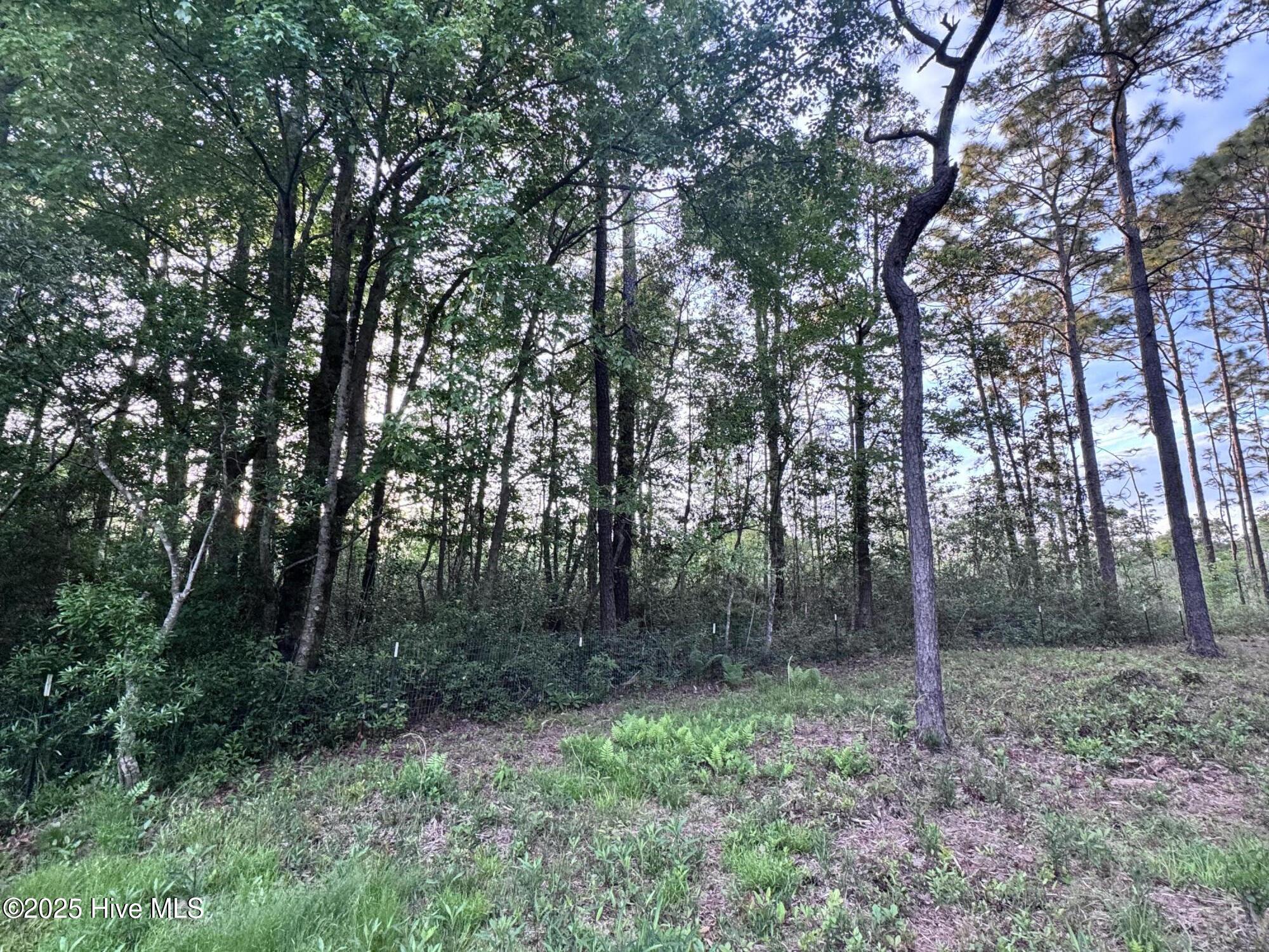 105 Sunset Court Property Photo 40