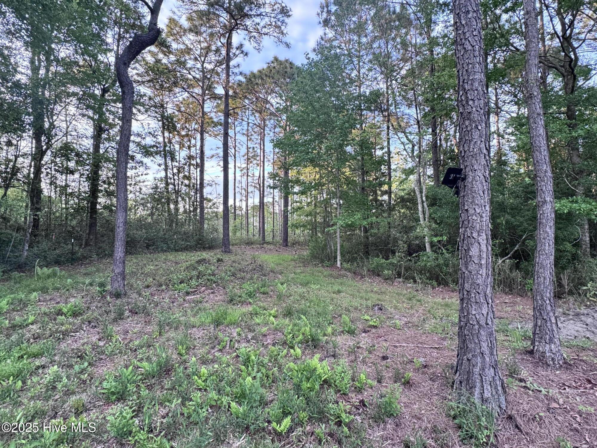 105 Sunset Court Property Photo 41