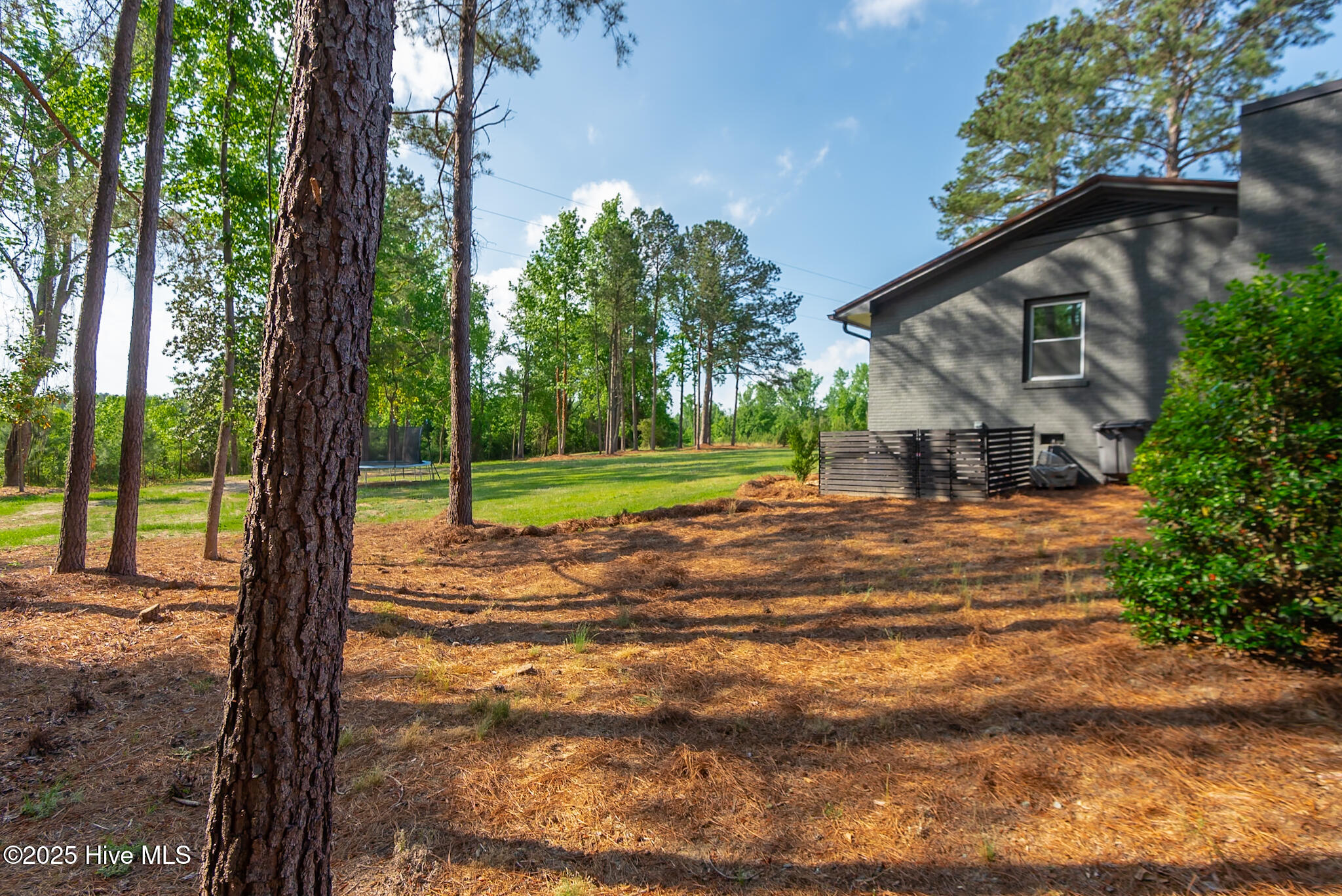 229 Rays Bridge Road Property Photo 15